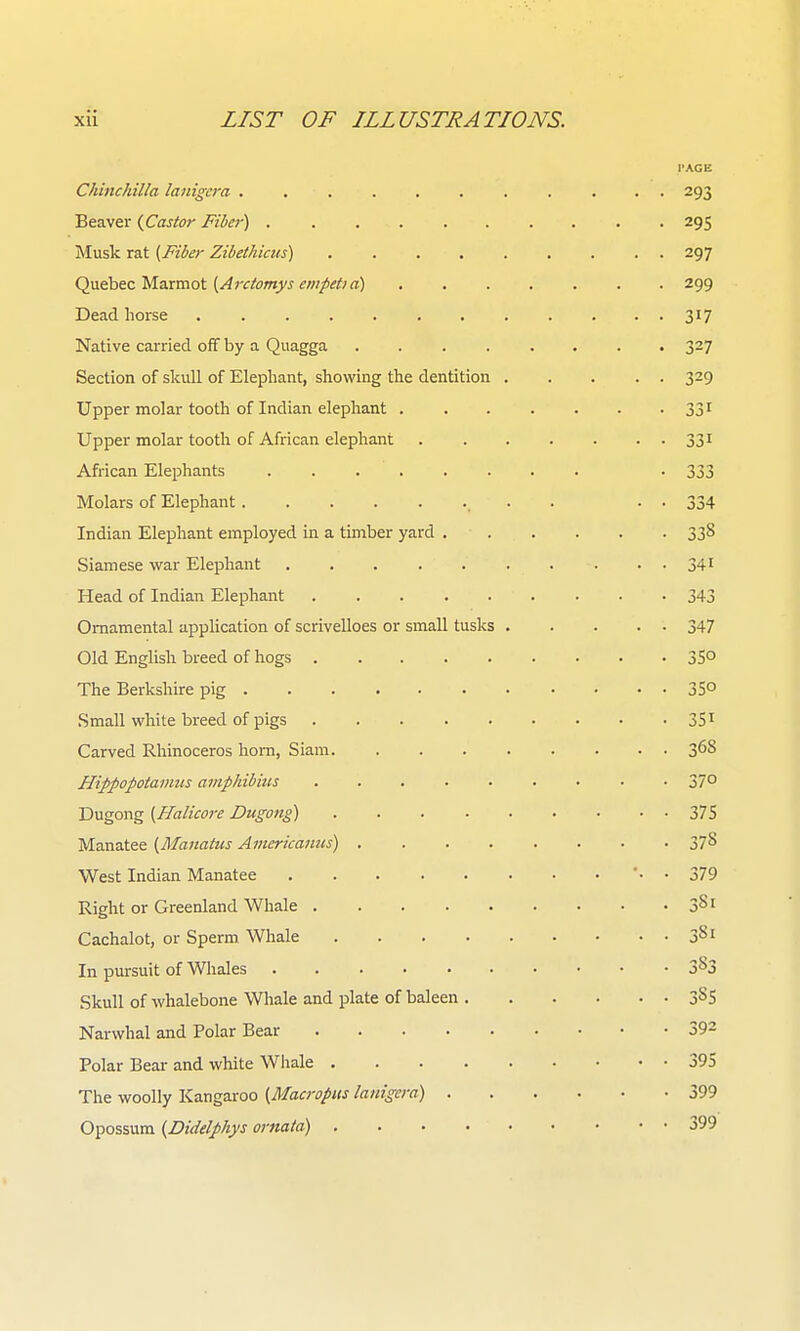 I'AGE Chinchilla lanigcra ........... 293 Beaver {Castor Fiber) 295 Musk rat (Fiber Zibethicus) ......... 297 Quebec Marmot ^OT/irf;«) 299 Dead horse 317 Native carried off by a Quagga 327 Section of skull of Elephant, showing the dentition 329 Upper molar tooth of Indian elephant 331 Upper molar tooth of African elephant 331 African Elephants -333 Molars of Elephant . . . . 334 Indian Elephant employed in a timber yard 338 Siamese war Elephant 34 Head of Indian Elephant 343 Ornamental application of scrivelloes or small tusks 347 Old English breed of hogs 35° The Berkshire pig 35° .Small white breed of pigs 351 Carved Rhinoceros horn, Siam 3^8 Hippopotamus amphibius ......... 37° Dugong (Halicore Dugong) 375 Manatee {Manatiis Aincrica7ius) 378 West Indian Manatee '• • 379 Right or Greenland Whale 381 Cachalot, or Sperm Whale 3^1 In pursuit of Whales 3^3 Skull of whalebone Whale and plate of baleen 3^5 Narwhal and Polar Bear 392 Polar Bear and white Whale 395 The woolly Kangaroo [Macropus lanigera) 399 Opossum {Didelphys ornata) 399