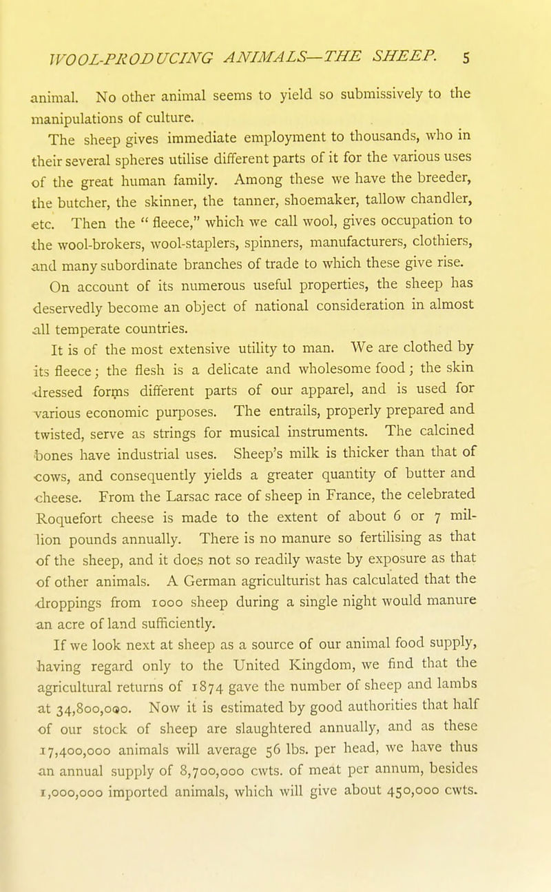 animal. No other animal seems to yield so submissively to the manipulations of culture. The sheep gives immediate employment to thousands, who in their several spheres utilise different parts of it for the various uses of the great human family. Among these we have the breeder, the butcher, the skinner, the tanner, shoemaker, tallow chandler, etc. Then the fleece, which we call wool, gives occupation to the wool-brokers, wool-staplers, spinners, manufacturers, clothiers, and many subordinate branches of trade to which these give rise. On account of its numerous useful properties, the sheep has deservedly become an object of national consideration in almost all temperate countries. It is of the most extensive utility to man. We are clothed by- its fleece; the flesh is a delicate and wholesome food; the skin ■dressed forms different parts of our apparel, and is used for various economic purposes. The entrails, properly prepared and twisted, serve as strings for musical instruments. The calcined bones have industrial uses. Sheep's milk is thicker than that of cows, and consequently yields a greater quantity of butter and •cheese. From the Larsac race of sheep in France, the celebrated Roquefort cheese is made to the extent of about 6 or 7 mil- lion pounds annually. There is no manure so fertilising as that of the sheep, and it does not so readily waste by exposure as that of other animals. A German agriculturist has calculated that the droppings from 1000 sheep during a single night would manure an acre of land sufficiently. If we look next at sheep as a source of our animal food supply, having regard only to the United Kingdom, we find that the agricultural returns of 1874 gave the number of sheep and lambs at 34,8oo,o<so. Now it is estimated by good authorities that half of our stock of sheep are slaughtered annually, and as these 17,400,000 animals will average 56 lbs. per head, we have thus an annual supply of 8,700,000 cwts. of meat per annum, besides 1,000,000 imported animals, which will give about 450,000 cwts.