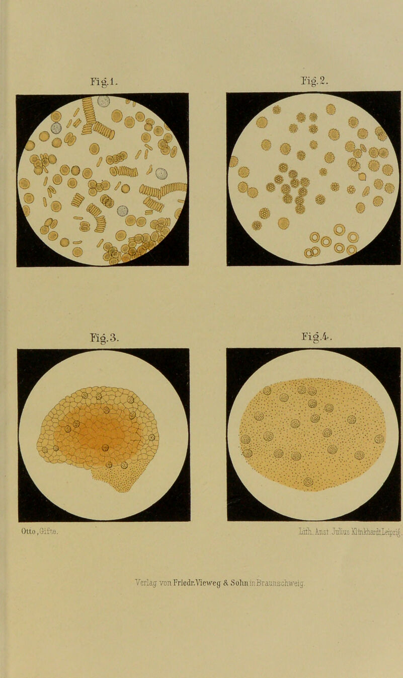 Fig.3. FigA. Otto ,Gifte. Aust Jiilius Xltnkhardllerrpzig. Verlag vonFriedr.Viewefj & SohninBraunschweig.