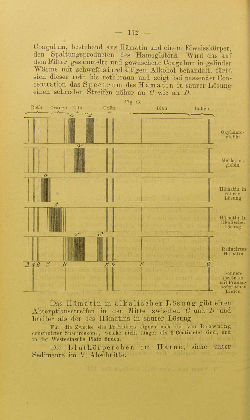 Coagulum, bestehend aus Hämatin und einem Eiweisskörper, den Spaltungsproducten des Hämoglobins. Wird das auf dem Filter gesammelte und gewaschene Coagulum in gelinder Wärme mit schwefelsäureliältigem Alkohol behandelt, färbt sieh dieser roth bis rothbraun und zeigt bei passender Con- centration das Spectrum des Hämatin in saurer Lösung einen schmalen Streifen näher an G wie an D. Rotli Orange Gell Fig. IG. Oxyliämo- globin Methämo- globin Hilmatiu in .saurer Lösung Hämatin in iilkalisclier Lösung Kedueirt' Hiimatiii Sonneu- spectrum init Frauen- liofer'schen Linien Das Hämatin in alkalischer Tiösung gibt einen Absorptionsstreifen in der Mitte zwischen G und D und breiter als der des Hämatins in saurer Lösung. Für die Zwecke des Pralitikers eignen sich die von Browning construirten Spectroskope, welche nicht länger als 6 Centimeter sind, und in der Westentasche Platz finden. Die Blutkörperchen im Harne, siehe unter Sedimente im V. Abschnitte.