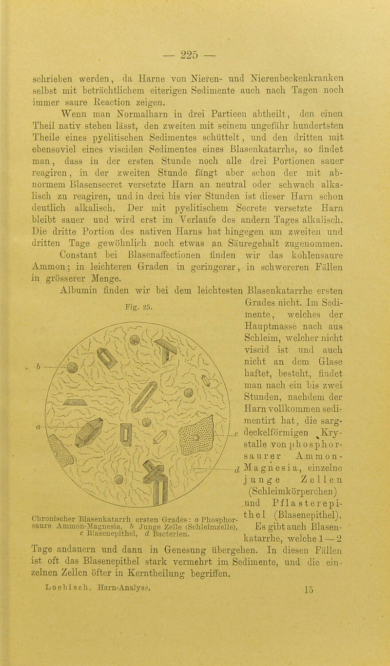 Fig. 25. schrieben werden, da Harne von Meren- wnd Nierenbeckenkranken selbst mit beträchtlichem eiterigen Sedimente auch nach Tagen noch immer saure Eeaction zeigen. Wenn man Normalharn in drei Partieen abtheilt, den einen Theil nativ stehen lässt, den zweiten mit seinem ungefähr hundertsten Theile eines pyelitischen Sedimentes schüttelt, und den dritten mit ebensoviel eines visciden Sedimentes eines Blasenkatarrhs, so findet man, dass in der ersten Stunde noch alle drei Portionen sauer reagiren, in der zweiten Stunde fängt aber schon der mit ab- normem Blasensecret versetzte Harn an neutral oder schwach alka- lisch zu reagiren, und in drei bis vier Stunden ist dieser Harn schon deutlich alkalisch. Der mit pyelitischem Secrete versetzte Harn bleibt sauer und wird erst im Yerlaufe des andern Tages alkalisch. Die dritte Portion des nativen Harns hat hingegen am zweiten und dritten Tage gewöhnlich noch etwas an Säuregehalt zugenommen. Constant bei Blasenaffectionen finden wir das kohlensaure Ammon; in leichteren Grraden in geringerer, in schwereren Fällen in grösserer Menge. Albumin finden wir bei dem leichtesten Blasenkatarrhe ersten Grades nicht. Im Sedi- mente , welches der Hauptmasse nach aus Schleim, welcher nicht viscid ist und auch nicht an dem Grlase haftet, besteht, findet man nach ein bis zwei Stunden, nachdem der Harn vollkommen sedi- mentirt hat, die sarg- c deckeiförmigen ^Ejy- stalle von ]i h o s p h o r- saurer Ammon- d Magnesia, einzelne junge Zellen (Schleimkörperchen) und Pflasterepi- t h e 1 (Blasenepithel). Es gibt auch Blasen- katarrhe, welche 1—2 Tage andauern und dann in Genesung übergehen. In diesen Fällen ist oft das Blasenepithel stark vermehrt im Sedimente, und die ein- zelnen Zellen öfter in Kerntheilung begriö'en. Loebisch, Harn-Analyse. j5 Chronischer Blasenl<atarrh ersten Grades : a Phosphor- saure Ammon-Maft-nesia, b Junge Zelle (Schleimzelle), c Blasenepithel, d Bacterien.
