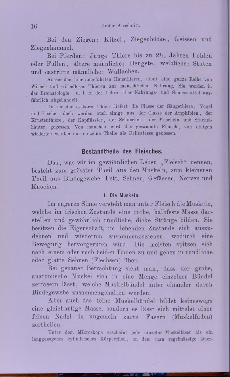 Bei den Ziegen : Kitzel , Ziegenböcke , Geissen und Ziegenhammel. Bei Pferden: Junge Thiere bis zu 21/a Jahren Fohlen oder Füllen, ältere männliche: Hengste, weibliche: Stuten und castrirte männliche: Wallachen. Ausser den hier angeführten Hausthieren, dient eine ganze Reihe von Wirbel- und wirbellosen Thieren zur menschlichen Nahrung. Sie werden in der Bromatologie , d. i. in der Lehre über Nahrungs- uud Genussmittel aus- führlich abgehandelt. Die meisten essbaren Thiere liefert die Classe der Sängethiere , Yögel und Fische, doch werden auch einige aus der Classe der Amphibien , der Krustenthiere , der Kopffüssler, der Schnecken, der Muscheln und Stachel- häuter , gegessen. Yon manchen wird das gesammte Fleisch, von einigen wiederum werden nur einzelne Theile als Delicatesse genossen. Bestandtbeile des Fleisches. Das, was wir im gewöhnlichen Leben „Fleisch“ nennen, besteht zum grössten Theil aus den Muskeln, zum kleineren Theil aus Bindegewebe, Fett, Sehnen, Gefässen, Nerven und Knochen. I. Die Muskeln. Im engeren Sinne versteht man unter Fleisch die Muskeln, welche im frischen Zustande eine rothe, halbfeste Masse dar- stellen und gewöhnlich rundliche, dicke Stränge bilden. Sie besitzen die Eigenschaft, im lebenden Zustande sich auszu- dehnen und wiederum zusammenzuziehen, wodurch eine Bewegung hervorgerufen wird. Die meisten spitzen sich nach einem oder nach beiden Enden zu und gehen in rundliche oder gla.tte Sehnen (Flechsen) über. Bei genauer Betrachtung sieht man, dass der grobe, anatomische Muskel sich in eine Menge einzelner Bündel zerfasern lässt, welche Muskelbündel unter einander durch Bindegewebe zusammengehalten werden. Aber auch das feine Muskelbündel bildet keineswegs eine gleichartige Masse, sondern es lässt sich mittelst einer feinen Nadel in ungemein zarte Fasern (Muskelfäden) zertheilen. Unter dem Mikroskope erscheint jede einzelne Muskelfaser als ein langgezogenes cylindrisches Körperchen, an dem man regelmässige Quer-