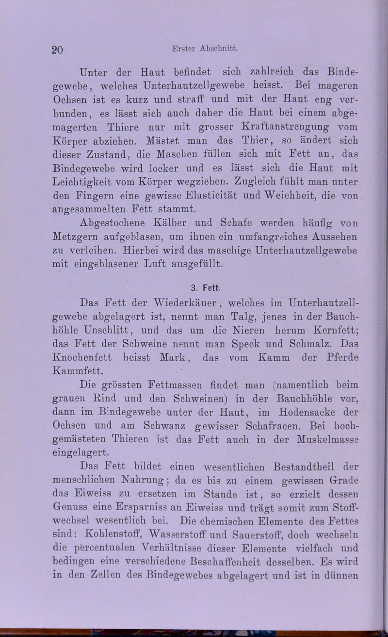Unter der Haut befindet sich zahlreich das Binde- gewebe , welches Unterhautzellgewebe heisst. Bei mageren Ochsen ist es kurz und straff und mit der Haut eng ver- bunden , es lässt sich auch daher die Haut bei einem abge- magerten Thiere nur mit grosser Kraftanstrengung vom Körper abziehen. Mästet man das Thier, so ändert sich dieser Zustand, die Maschen füllen sich mit Fett an, das Bindegewebe wird locker und es lässt sich die Haut mit Leichtigkeit vom Körper wegziehen. Zugleich fühlt man unter den Fingern eine gewisse Elasticität und Weichheit, die von angesammelten Fett stammt. Abgestochene Kälber und Schafe werden häufig von Metzgern aufgeblasen, um ihnen ein umfangreiches Aussehen zu verleihen. Hierbei wird das maschige Unterbautzellgewebe mit eingeblasener Luft ausgefüllt. 3. Fett, Das Fett der Wiederkäuer, welches im Unterhautzell- gewebe abgelagert ist, nennt man Talg, jenes in der Bauch- höhle Unschlitt, und das um die Nieren herum Kernfett; das Fett der Schweine nennt man Speck und Schmalz. Das Knochenfett heisst Mark, das vom Kamm der Pferde Kammfett. Die grössten Fettmassen findet man (namentlich beim grauen Rind und den Schweinen) in der Bauchhöhle vor, dann im Bindegewebe unter der Haut, im Hodensacke der Ochsen und am Schwanz gewisser Scliafracen. Bei hoch- gemästeten Thieren ist das Fett auch in der Muskelmasse eingelagert. Das Fett bildet einen wesentlichen Bestandtheil der menschlichen Nahrung ; da es bis zu einem gewissen Grade das Eiweiss zu ersetzen im Stande ist, so erzielt dessen Genuss eine Ersparniss an Eiweiss und trägt somit zum Stoff- wechsel wesentlich bei. Die chemischen Elemente des Fettes sind: Kohlenstoff, Wasserstoff und Sauerstoff, doch wechseln die pfercentualen Verhältnisse dieser Elemente vielfach und bedingen eine verschiedene Beschaffenheit desselben. Es wird in den Zellen des Bindegewebes abgelagert und ist in dünnen