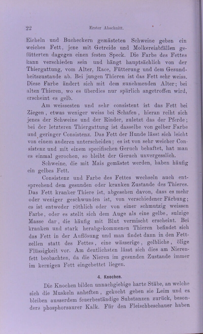 * Eicheln und Bucheckern gemästeten Schweine gehen ein weiches Fett, jene mit Getreide und Molkereiabfällen ge- fütterten dagegen einen festen Speck. Die Farbe des Fettes kann verschieden sein und hängt hauptsächlich von der Thiergattung, vom Alter, Face, Fütterung und dem Gesund- heitszustände ab. Bei jungen Thieren ist das Fett sehr weiss. Diese Farbe ändert sich mit dem zunehmenden Alter; bei alten Thieren, wo es überdies nur spärlich angetroffen wird, erscheint es gelb. Am weissesten und sehr consistent ist das Fett bei Ziegen , etwas weniger weiss bei Schafen , hieran reiht sich jenes der Schweine und der Rinder, zuletzt das der Pferde ; bei der letzteren Thiergattung ist dasselbe von gelber Farbe und geringer Consistenz. Das Fett der Hunde lässt sich leicht von einem anderen unterscheiden; es ist von sehr weicher Con- sistenz und mit einem specifischen Geruch behaftet, hat man es einmal gerochen, so bleibt der Geruch unvergesslich. Schweine, die mit Mais gemästet werden, haben häufig ein gelbes Fett. Consistenz und Farbe des Fettes wechseln auch ent- sprechend dem gesunden oder kranken Zustande des Thieres. Das Fett kranker Thiere ist, abgesehen davon, dass es mehr oder weniger geschwunden ist, von verschiedener Färbung; es ist entweder röthlich oder von einer schmutzig weissen Farbe, oder es stellt sich dem Auge als eine gelbe, sulzige Masse dar, die häufig mit Blut vermischt erscheint. Bei kranken und stark herabgekommenen Thieren befindet sich das Fett in der Auflösung und man findet dann in den Fett- zellen statt des Fettes , eine wässerige, gelbliche, ölige Flüssigkeit vor. Am deutlichsten lässt sich dies am Nieren- fett beobachten, da die Nieren im gesunden Zustande immer im kernigen Fett eingebettet liegen. 4. Knochen. Die Knochen bilden unnachgiebige harte Stäbe, an welche sich die Muskeln anheften , gekocht geben sie Leim und es bleiben ausserdem feuerbeständige Substanzen zurück, beson- ders phosphorsaurer Kalk. Für den Fleischbeschauer haben