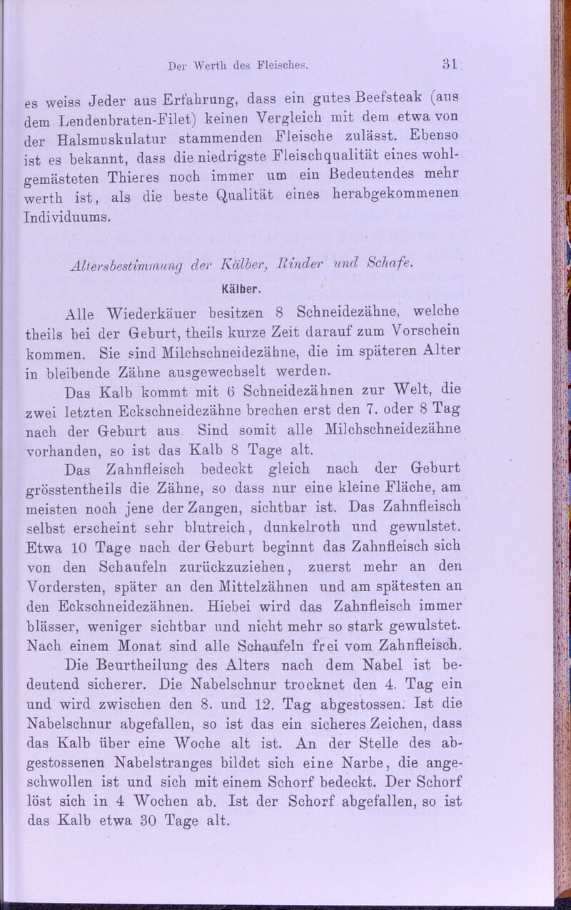 es weiss Jeder aus Erfahrung, dass ein gutes Beefsteak (aus dem Lendenbraten-Filet) keinen Vergleich mit dem etwa von der Halsmuskulatur stammenden Fleische zulässt. Ebenso ist es bekannt, dass die niedrigste Fleischqualität eines wohl- gemästeten Thieres noch immer um ein Bedeutendes mehr werth ist, als die beste Qualität eines herabgekommenen Individuums. Altersbestimmung der Kälber, Rinder und Schafe. Kälber. Alle Wiederkäuer besitzen 8 Schneidezähne, welche theils bei der Geburt, theils kurze Zeit darauf zum Vorschein kommen. Sie sind Milchschneidezähne, die im späteren Alter in bleibende Zähne ausgewechselt werden. Das Kalb kommt mit 6 Schneidezähnen zur Welt, die zwei letzten Eckschneidezähne brechen erst den 7. oder 8 Tag nach der Geburt aus Sind somit alle Milchschneidezähne vorhanden, so ist das Kalb 8 Tage alt. Das Zahnfleisch bedeckt gleich nach der Geburt grösstentheils die Zähne, so dass nur eine kleine Fläche, am meisten noch jene der Zangen, sichtbar ist. Das Zahnfleisch selbst erscheint sehr blutreich, dunkelroth und gewulstet. Etwa 10 Tage nach der Geburt beginnt das Zahnfleisch sich von den Schaufeln zurückzuziehen, zuerst mehr an den Vordersten, später an den Mittelzähnen und am spätesten an den Eckschneidezähnen. Hiebei wird das Zahnfleisch immer blässer, weniger sichtbar und nicht mehr so stark gewulstet. Nach einem Monat sind alle Schaufeln frei vom Zahnfleisch. Die Beurtheilung des Alters nach dem Nabel ist be- deutend sicherer. Die Nabelschnur trocknet den 4. Tag ein und wird zwischen den 8. und 12. Tag abgestossen. Ist die Nabelschnur abgefallen, so ist das ein sicheres Zeichen, dass das Kalb über eine Woche alt ist. An der Stelle des ab- gestossenen Nabelstranges bildet sich eine Narbe, die ange- schwollen ist und sich mit einem Schorf bedeckt. Der Schorf löst sich in 4 Wochen ab. Ist der Schorf abgefallen, so ist das Kalb etwa 30 Tage alt. MBM mm