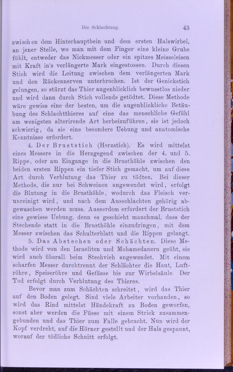 zwisch en dem Hinterhauptbein und dem ersten Halswirbel, an jener Stelle, wo man mit dem Finger eine kleine Grube fühlt, entweder das Nickmesser oder ein spitzes Meisseieisen mit Kraft in’s verlängerte Mark eingestossen. Durch diesen Stich wird die Leitung zwischen dem verlängerten Mark und den Rückennerven unterbrochen. Ist der Genickstich gelungen, so stürzt das Thier augenblicklich bewusstlos nieder und wird dann durch Stich vollends getödtet. Diese Methode wäre gewiss eine der besten, um die augenblickliche Betäu- bung des Schlachtthieres auf eine das menschliche Gefühl am wenigsten alterirende Art herbeizuführen, sie ist jedoch schwierig, da sie eine besondere Uebung und anatomische Kenntnisse erfordert. 4. Der Bruststich (Herzstich). Es wird mittelst eines Messers in die Herzgegend zwischen der 4. und 5. Rippe, oder am Eingänge in die Brusthöhle zwischen den beiden ersten Rippen ein tiefer Stich gemacht, um auf diese Art durch Verblutung das Thier zu tödten. Bei dieser Methode, die nur bei Schweinen angewendet wird, erfolgt die Blutung in die Brusthöhle, wodurch das Fleisch ver- unreinigt wird, und nach dem Ausschlachten gehörig ab- gewaschen werden muss. Ausserdem erfordert der Bruststich eine gewisse Uebung, denn es geschieht manchmal, dass der Stechende statt in die Brusthöhle einzudringen, mit dem Messer zwischen das Schulterblatt und die Rippen gelangt. 5. Das Abstechen oder Schächten. Diese Me- thode wird von den Israeliten und Mohamedanern geübt, sie wird auch überall beim Stechvieh angewendet. Mit einem scharfen Messer durchtrennt der Schlächter die Haut, Luft- röhre , Speiseröhre und Gefässe bis zur Wirbelsäule. Der Tod erfolgt durch Verblutung des Thiere3. Bevor man zum Schächten schreitet, wird das Thier auf den Boden gelegt. Sind viele Arbeiter vorhanden, so wird das Rind mittelst Händekraft zu Boden geworfen, sonst aber werden die Fiisse mit einem Strick zusammen- gebunden und das Thier zum Falle gebracht. Nun wird der Kopf verdreht, auf die Hörner gestellt und der Hals gespannt, worauf der tödliche Schnitt erfolgt.
