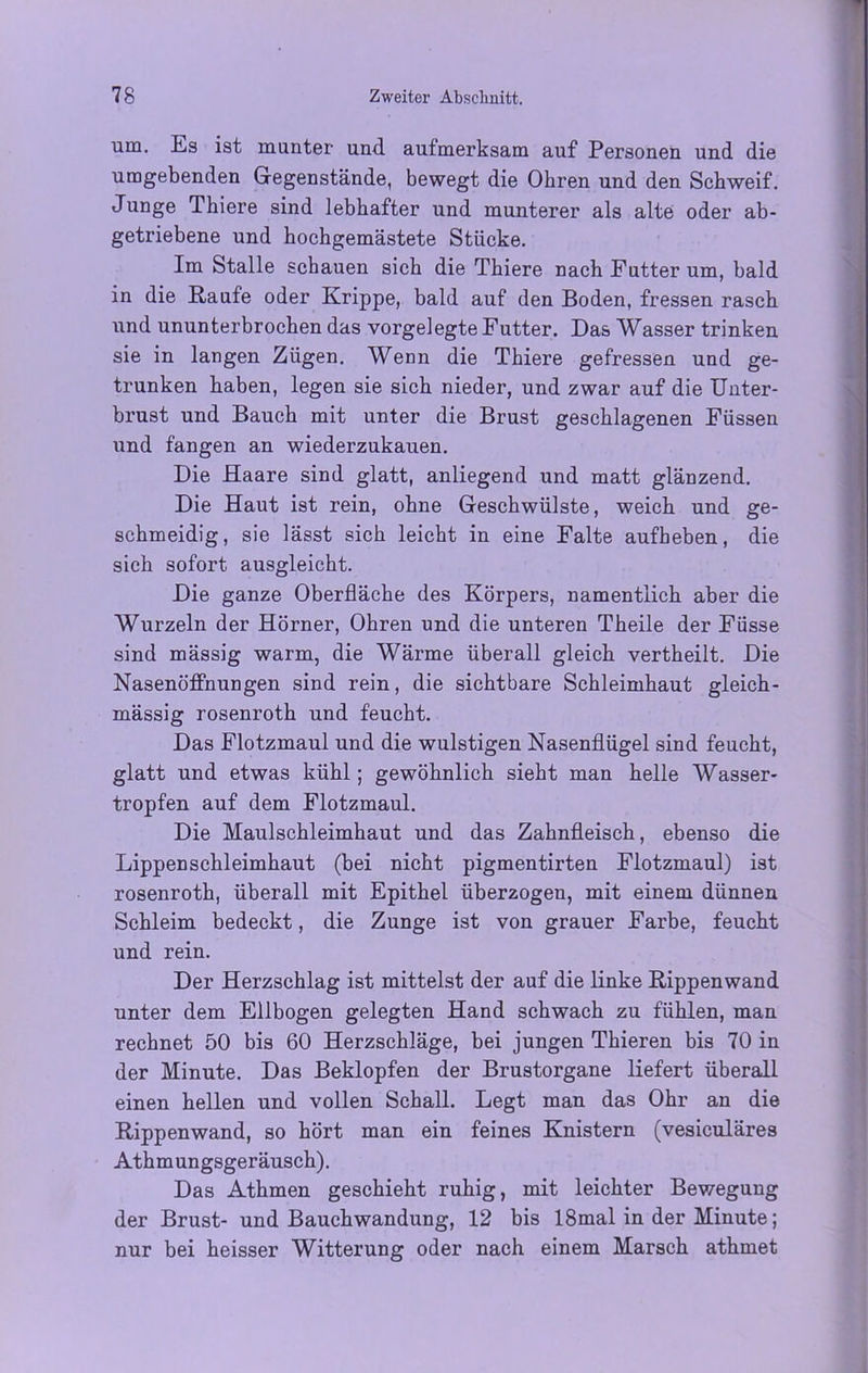um. Es ist munter und. aufmerksam auf Personen und die umgebenden Gegenstände, bewegt die Ohren und den Schweif. Junge Thiere sind lebhafter und munterer als alte oder ab- getriebene und hochgemästete Stücke. Im Stalle schauen sich die Thiere nach Futter um, bald in die Hanfe oder Krippe, bald auf den Boden, fressen rasch und ununterbrochen das vorgelegte Futter. Das Wasser trinken sie in langen Zügen. Wenn die Thiere gefressen und ge- trunken haben, legen sie sich nieder, und zwar auf die Unter- brust und Bauch mit unter die Brust geschlagenen Füssen und fangen an wiederzukauen. Die Haare sind glatt, anliegend und matt glänzend. Die Haut ist rein, ohne Geschwülste, weich und ge- schmeidig, sie lässt sich leicht in eine Falte aufheben, die sich sofort ausgleicht. Die ganze Oberfläche des Körpers, namentlich aber die Wurzeln der Hörner, Ohren und die unteren Theile der Füsse sind mässig warm, die Wärme überall gleich vertheilt. Die Nasenöffnungen sind rein, die sichtbare Schleimhaut gleich- mässig rosenroth und feucht. Das Flotzmaul und die wulstigen Nasenflügel sind feucht, glatt und etwas kühl; gewöhnlich sieht man helle Wasser- tropfen auf dem Flotzmaul. Die Maulschleimhaut und das Zahnfleisch, ebenso die Lippen Schleimhaut (bei nicht pigmentirten Flotzmaul) ist rosenroth, überall mit Epithel überzogen, mit einem dünnen Schleim bedeckt, die Zunge ist von grauer Farbe, feucht und rein. Der Herzschlag ist mittelst der auf die linke Rippenwand unter dem Ellbogen gelegten Hand schwach zu fühlen, man rechnet 50 bis 60 Herzschläge, bei jungen Thieren bis 70 in der Minute. Das Beklopfen der Brustorgane liefert überall einen hellen und vollen Schall. Legt man das Ohr an die Rippenwand, so hört man ein feines Knistern (vesiculäres Athmungsgeräusch). Das Athmen geschieht ruhig, mit leichter Bewegung der Brust- und Bauchwandung, 12 bis 18mal in der Minute; nur bei heisser Witterung oder nach einem Marsch athmet
