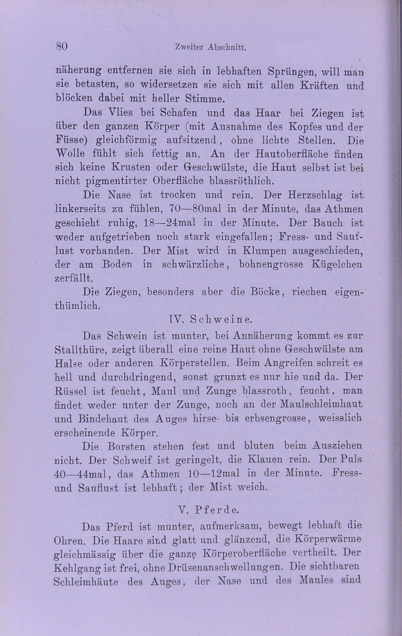 näherung entfernen sie sich in lebhaften Sprüngen, will man sie betasten, so widersetzen sie sich mit allen Kräften und blocken dabei mit heller Stimme. Das Vlies bei Schafen und das Haar bei Ziegen ist über den ganzen Körper (mit Ausnahme des Kopfes und der Füsse) gleichförmig aufsitzend , ohne lichte Stellen. Die Wolle fühlt sich fettig an. An der Hautoberfläche finden sich keine Krusten oder Geschwülste, die Haut selbst ist bei nicht pigmentirter Oberfläche blassröthlich. Die Nase ist trocken und rein. Der Herzschlag ist linkerseits zu fühlen, 70—80mal in der Minute, das Athmen geschieht ruhig, 18—24mal in der Minute. Der Bauch ist weder aufgetrieben noch stark eingefallen; Fress- und Sauf- lust vorhanden. Der Mist wird in Klumpen ausgeschieden, der am Boden in schwärzliche, bohnengrosse Kügelchen zerfällt. Die Ziegen, besonders aber die Böcke, riechen eigen- thtimlich. IV. Schweine. Das Schwein ist munter, bei Annäherung kommt es zur Stallthüre, zeigt überall eine reine Haut ohne Geschwülste am Halse oder anderen Körperstellen. Beim Angreifen schreit es hell und durchdringend, sonst grunzt es nur hie und da. Der Rüssel ist feucht, Maul und Zunge blassroth, feucht, man findet weder unter der Zunge, noch an der Maulschleimhaut und Bindehaut des Auges hirse- bis erbsengrosse, weisslich erscheinende Körper. Die Borsten stehen fest und bluten beim Ausziehen nicht. Der Schweif ist geringelt, die Klauen rein. Der Puls 40—44mal, das Athmen 10—12mal in der Minute. Fress- und Sauflust ist lebhaft; der Mist weich. V. Pferde. Das Pferd ist munter, aufmerksam, bewegt lebhaft die Ohren. Die Haare sind, glatt und glänzend, die Körperwärme gleichmässig über die ganzp Körperoberfläche vertheilt. Der Kehlgang ist frei, ohne Drüsenanschwellungen. Die sichtbaren Schleimhäute des Auges, der Nase und des Maules sind