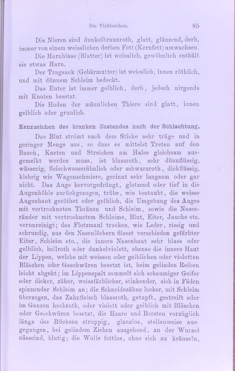 Die Nieren sind dunkelbraunroth, glatt, glänzend, derb, immer von einem weissliclien derben Fett (Kernfett) umwachsen. Die Harnblase (Blatter) ist weisslicb, gewöhnlich enthält sie etwas Harn. Der Tragsack (Gebärmutter) ist weisslieh, innen röthlich, und mit dünnem Schleim bedeckt. Das Euter ist immer gelblich, derb, jedoch nirgends mit Knoten besetzt. Die Hoden der männlichen Thiere sind glatt, innen gelblich oder graulich. Kennzeichen des kranken Zustandes nach der Schlachtung^ Das Blut strömt nach dem Stiche sehr träge und in geringer Menge aus, so dass es mittelst Treten auf den Bauch, Kneten und Streichen am Halse gleichsam aus- gemelkt werden muss, ist blassroth, sehr dünnflüssig, wässerig, fleischwasserähnlich oder schwarzroth, dickflüssig, klebrig wie Wagenschmiere, gerinnt sehr langsam oder gar nicht. Das Auge hervorgedrängt, glotzend oder tief in die Augenhöhle zurückgezogen, trübe, wie bestaubt, die weisse Augenhaut geröthet oder gelblich, die Umgebung des Auges mit vertrockneten Thränen und Schleim, sowie die Nasen- ränder mit vertrocknetem Schleime, Blut, Eiter, Jauche etc. verunreinigt; das Flotzmaul trocken, wie Leder, rissig und schrundig, aus den Nasenlöchern fliesst verschieden gefärbter Eiter, Schleim etc., die innere Nasenhaut sehr blass oder gelblich, hellroth oder dunkelviolett, ebenso die innere Haut der Lippen, welche mit weissen oder gelblichen oder violetten Bläschen oder Geschwüren besetzt ist, beim gelinden Reiben leicht abgeht; im Lippenspalt sammelt sich schaumiger Geifer oder dicker, zäher, weissfärblicher, stinkender, sich in Fäden spinnender Schleim an; die Schneidezähne locker, mit Schleim überzogen, das Zahnfleisch blassroth, getupft, gestreift oder im Ganzen hoclirotb, oder violett oder gelblich mit Bläschen oder Geschwüren besetzt, die Haare und Borsten vorzüglich längs des Rückens struppig, glanzlos, stellenweise aus- gegangen, bei gelindem Ziehen ausgehend, an der Wurzel nässelnd, blutig; die Wolle fettlos, ohne sich zu kräuseln.