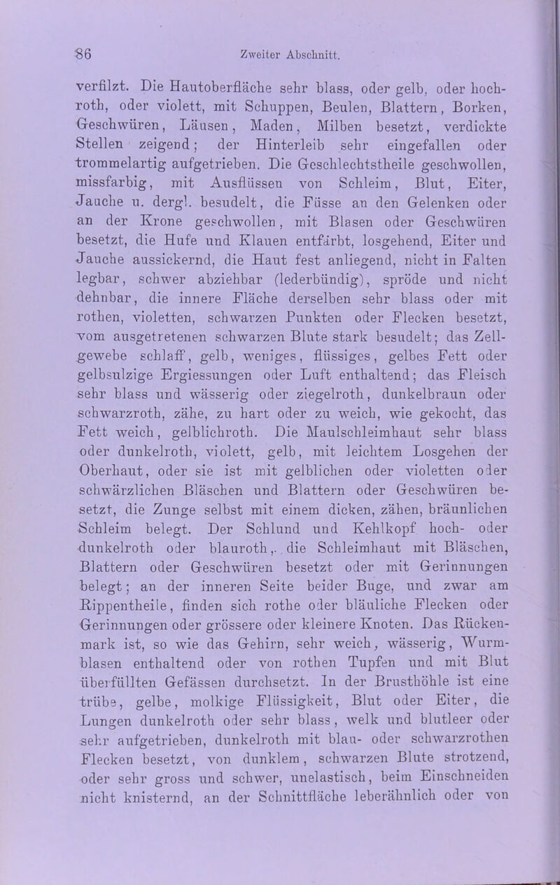 verfilzt. Die Hautoberfläche sehr blass, oder gelb, oder hoch- roth, oder violett, mit Schuppen, Beulen, Blattern, Borken, Geschwüren, Läusen, Maden, Milben besetzt, verdickte Stellen zeigend; der Hinterleib sehr eingefallen oder trommelartig aufgetrieben. Die Geschlechtstheile geschwollen, missfarbig, mit Ausflüssen von Schleim, Blut, Eiter, Jauche u. dergl. besudelt, die Fiisse an den Gelenken oder an der Krone geschwollen, mit Blasen oder Geschwüren besetzt, die Hufe und Klauen entfärbt, losgehend, Eiter und Jauche aussickernd, die Haut fest anliegend, nicht in Falten legbar, schwer abziehbar (lederbündig), spröde und nicht dehnbar, die innere Fläche derselben sehr blass oder mit rothen, violetten, schwarzen Punkten oder Flecken besetzt, vom ausgetretenen schwarzen Blute stark besudelt; das Zell- gewebe schlaff, gelb, weniges, flüssiges, gelbes Fett oder gelbsulzige Ergiessungen oder Luft enthaltend; das Fleisch sehr blass und wässerig oder ziegelroth, dunkelbraun oder schwarzroth, zähe, zu hart oder zu weich, wie gekocht, das Fett weich, gelblichroth. Die Maulschleimhaut sehr blass oder dunkelroth, violett, gelb, mit leichtem Losgehen der Oberhaut, oder sie ist mit gelblichen oder violetten oder schwärzlichen Bläschen und Blattern oder Geschwüren be- setzt, die Zunge selbst mit einem dicken, zähen, bräunlichen Schleim belegt. Der Schlund und Kehlkopf hoch- oder dunkelroth oder blauroth,. die Schleimhaut mit Bläschen, Blattern oder Geschwüren besetzt oder mit Gerinnungen belegt; an der inneren Seite beider Buge, und zwar am Kippentheile, finden sich rothe oder bläuliche Flecken oder Gerinnungen oder grössere oder kleinere Knoten. Das Bücken- mark ist, so wie das Gehirn, sehr weich, wässerig, Wurm- blasen enthaltend oder von rothen Tupfen und mit Blut übeifüllten Gefässen durchsetzt. In der Brusthöhle ist eine trübe, gelbe, molkige Flüssigkeit, Blut oder Eiter, die Lungen dunkelroth oder sehr blass, welk und blutleer oder sehr aufgetrieben, dunkelroth mit blau- oder schwarzrothen Flecken besetzt, von dunklem, schwarzen Blute strotzend, oder sehr gross und schwer, unelastisch, beim Einschneiden nicht knisternd, an der Schnittfläche leberähnlich oder von