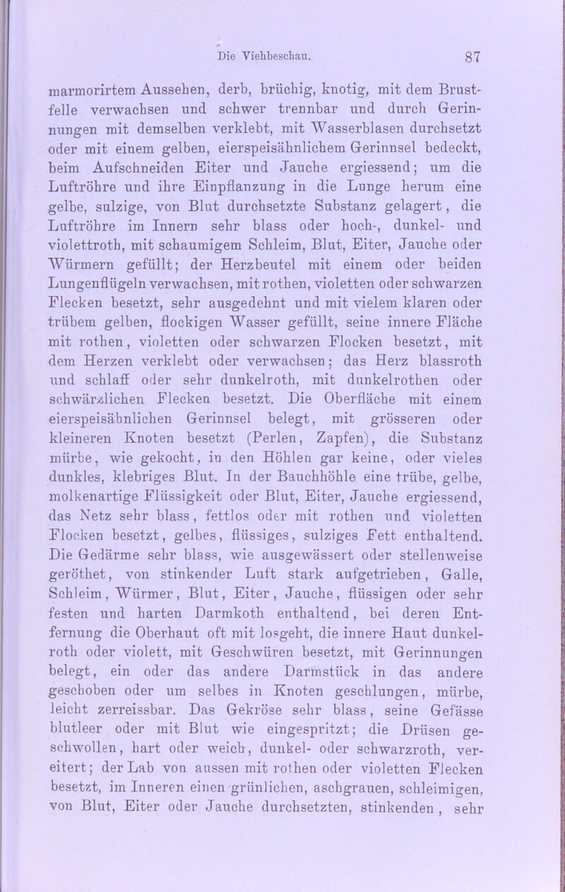 marmorirtem Aussehen, derb, brüchig, knotig, mit dem Brust- felle verwachsen und schwer trennbar und durch Gerin- nungen mit demselben verklebt, mit Wasserblasen durchsetzt oder mit einem gelben, eierspeisähnlichem Gerinnsel bedeckt, beim Aufschneiden Eiter und Jauche ergiessend; um die Luftröhre und ihre Einpflanzung in die Lunge herum eine gelbe, sulzige, von Blut durchsetzte Substanz gelagert, die Luftröhre im Innern sehr blass oder hoch-, dunkel- und violettrotb, mit schaumigem Schleim, Blut, Eiter, Jauche oder Würmern gefüllt; der Herzbeutel mit einem oder beiden Lungenflügeln verwachsen, mit rothen, violetten oder schwarzen Flecken besetzt, sehr ausgedehnt und mit vielem klaren oder trübem gelben, flockigen Wasser gefüllt, seine innere Fläche mit rothen, violetten oder schwarzen Flocken besetzt, mit dem Herzen verklebt oder verwachsen; das Herz blassroth und schlaff oder sehr dunkelroth, mit dunkelrothen oder schwärzlichen Flecken besetzt. Die Oberfläche mit einem eierspeisähnlichen Gerinnsel belegt, mit grösseren oder kleineren Knoten besetzt (Perlen, Zapfen), die Substanz mürbe, wie gekocht, in den Höhlen gar keine, oder vieles dunkles, klebriges Blut. In der Bauchhöhle eine trübe, gelbe, molkenartige Flüssigkeit oder Blut, Eiter, Jauche ergiessend, das Netz sehr blass , fettlos oder mit rothen und violetten Flocken besetzt, gelbes, flüssiges, sulziges Fett enthaltend. Die Gedärme sehr blass, wie ausgewässert oder stellenweise geröthet, von stinkender Luft stark aufgetrieben, Galle, Schleim, Würmer, Blut, Eiter, Jauche, flüssigen oder sehr festen und harten Darmkoth enthaltend, bei deren Ent- fernung die Oberhaut oft mit losgeht, die innere Haut dunkel- roth oder violett, mit Geschwüren besetzt, mit Gerinnungen belegt, ein oder das andere Darmstück in das andere geschoben oder um selbes in Knoten geschlungen, mürbe, leicht zerreissbar. Das Gekröse sehr blass, seine Gefässe blutleer oder mit Blut wie eingespritzt; die Drüsen ge- schwollen, hart oder weich, dunkel- oder schwarzroth, ver- eitert; der Lab von aussen mit rothen oder violetten Flecken besetzt, im Inneren einen grünlichen, aschgrauen, schleimigen, von Blut, Eiter oder Jauche durchsetzten, stinkenden, sehr