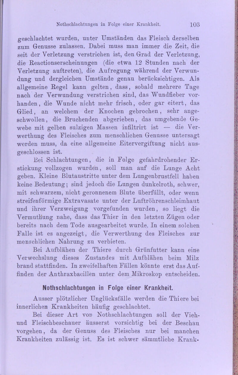 geschlachtet wurden, unter Umständen das Fleisch derselben zum Genüsse zulassen. Dabei muss man immer die Zeit, die seit der Verletzung verstrichen ist, den Grad der Verletzung, die Reactionserscheinungen (die etwa 12 Stunden nach der Verletzung auftreten), die Aufregung während der Verwun- dung und dergleichen Umstände genau berücksichtigen. Als allgemeine Regel kann gelten, dass, sobald mehrere Tage nach der Verwundung verstrichen sind, das Wundfieber vor- handen, die Wunde nicht mehr frisch, oder gar eitert, das Glied, an welchem der Knochen gebrochen, sehr ange- schwollen , die Bruchenden abgerieben, das umgebende Ge- webe mit gelben sulzigen Massen infiltrirt ist — die Ver- werthung des Fleisches zum menschlichen Genüsse untersagt werden muss, da eine allgemeine Eitervergiftung nicht aus- geschlossen ist. Bei Schlachtungen, die in Folge gefahrdrohender Er- stickung vollzogen wurden, soll man auf die Lunge Acht geben. Kleine Blutaustritte unter dem Lungenbrustfell haben keine Bedeutung; sind jedoch die Lungen dunkelroth, schwer, mit schwarzem, nicht geronnenem Blute überfüllt, oder wenn streifenförmige Extravasate unter der Luftröhrenschleimhaut und ihrer Verzweigung vorgefunden wurden, so liegt die Vermuthung nahe, dass das Thier in den letzten Zügen oder bereits nach dem Tode ausgearbeitet wurde. In einem solchen Falle ist es angezeigt, die Verwerthung des Fleisches zur menschlichen Nahrung zu verbieten. Bei Aufblähen der Thiere durch Grünfutter kann eine Verwechslung dieses Zustandes mit Aufblähen beim Milz brand stattfinden. In zweifelhaften Fällen könnte erst das Auf- finden der Anthraxbacillen unter dem Mikroskop entscheiden. Nothschlachtungen in Folge einer Krankheit. Ausser plötzlicher Unglücksfälle werden die Thiere bei innerlichen Krankheiten häufig geschlachtet. Bei dieser Art von Nothschlachtungen soll der Vieh- und Fleischbeschauer äusserst vorsichtig bei der Beschau Vorgehen, da der Genuss des Fleisches nur bei manchen Krankheiten zulässig ist. Es ist schwer sämmtliche Krank-