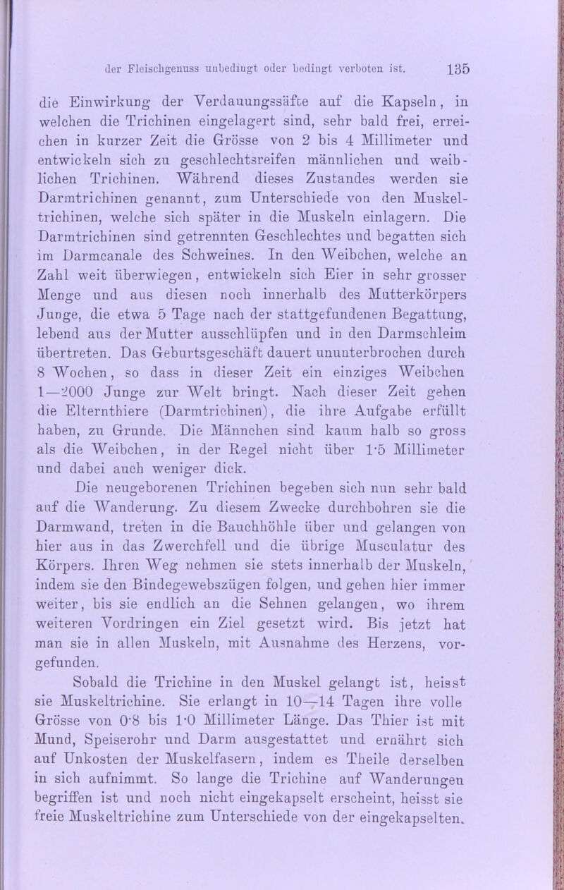 die Einwirkung der Verdauungssäfee auf die Kapseln, in welchen die Trichinen eingelagert sind, sehr bald frei, errei- chen in kurzer Zeit die Grösse von 2 bis 4 Millimeter und entwickeln sich zu geschlechtsreifen männlichen und weib- lichen Trichinen. Während dieses Zustandes werden sie Darmtrichinen genannt, zum Unterschiede von den Muskel- trichinen, welche sich später in die Muskeln einlagern. Die Darmtrichinen sind getrennten Geschlechtes und begatten sich im Darmcanale des Schweines. In den Weibchen, welche an Zahl weit überwiegen, entwickeln sich Eier in sehr grosser Menge und aus diesen noch innerhalb des Mutterkörpers Junge, die etwa 5 Tage nach der stattgefundenen Begattung, lebend aus der Mutter ausschlüpfen und in den Darmschleim übertreten. Das Geburtsgeschäft dauert ununterbrochen durch 8 Wochen, so dass in dieser Zeit ein einziges Weibchen 1—*1000 Junge zur Welt bringt. Nach dieser Zeit gehen die Elternthiere (Darmtrichinen), die ihre Aufgabe erfüllt haben, zu Grunde. Die Männchen sind kaum halb so gross als die Weibchen, in der Regel nicht über D5 Millimeter und dabei auch weniger dick. Die neugeborenen Trichinen begeben sich nun sehr bald auf die Wanderung. Zu diesem Zwecke durchbohren sie die Darmwand, treten in die Bauchhöhle über und gelangen von hier aus in das Zwerchfell und die übrige Musculatur des Körpers. Ihren Weg nehmen sie stets innerhalb der Muskeln, indem sie den Bindegewebszügen folgen, und gehen hier immer weiter, bis sie endlich an die Sehnen gelangen, wo ihrem weiteren Vordringen ein Ziel gesetzt wird. Bis jetzt hat man sie in allen Muskeln, mit Ausnahme des Herzens, vor- gefunden. Sobald die Trichine in den Muskel gelangt ist, heisst sie Muskeltrichine. Sie erlangt in 10—14 Tagen ihre volle Grösse von 0’8 bis DO Millimeter Länge. Das Thier ist mit Mund, Speiserohr und Darm ausgestattet und ernährt sich auf Unkosten der Muskelfasern, indem es Theile derselben in sich aufnimmt. So lange die Trichine auf Wanderungen begriffen ist und noch nicht eingekapselt erscheint, heisst sie freie Muskeltrichine zum Unterschiede von der eingekapselten.