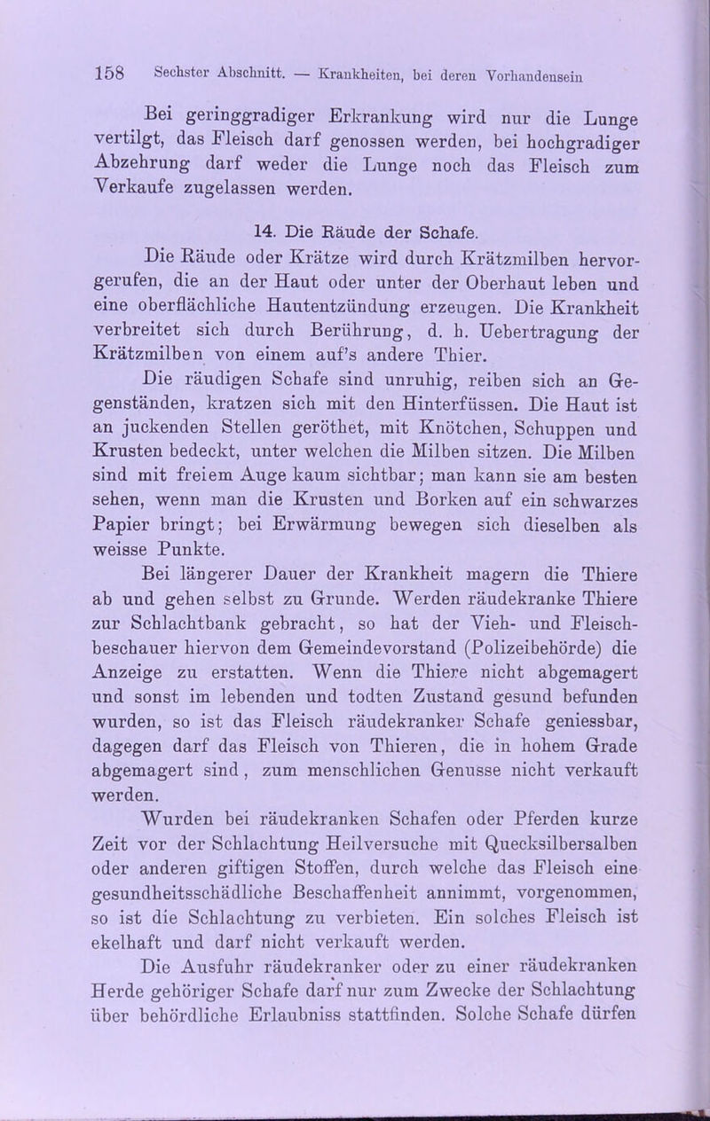 Bei geringgradiger Erkrankung wird nur die Lunge vertilgt, das Fleisch darf genossen werden, bei hochgradiger Abzehrung darf weder die Lunge noch das Fleisch zum Verkaufe zugelassen werden. 14. Die Räude der Schafe. Die Räude oder Krätze wird durch Krätzmilben hervor- gerufen, die an der Haut oder unter der Oberhaut leben und eine oberflächliche Hautentzündung erzeugen. Die Krankheit verbreitet sich durch Berührung, d. h. Uebertragung der Krätzmilben von einem auf’s andere Thier. Die räudigen Schafe sind unruhig, reiben sich an Ge- genständen, kratzen sich mit den Hinterfüssen. Die Haut ist an juckenden Stellen geröthet, mit Knötchen, Schuppen und Krusten bedeckt, unter welchen die Milben sitzen. Die Milben sind mit freiem Auge kaum sichtbar; man kann sie am besten sehen, wenn man die Krusten und Borken auf ein schwarzes Papier bringt; bei Erwärmung bewegen sich dieselben als weisse Punkte. Bei längerer Dauer der Krankheit magern die Thiere ab und gehen selbst zu Grunde. Werden räudekranke Thiere zur Schlachtbank gebracht, so hat der Vieh- und Fleisch- beschauer hiervon dem Gemeindevorstand (Polizeibehörde) die Anzeige zu erstatten. Wenn die Thiere nicht abgemagert und sonst im lebenden und todten Zustand gesund befunden wurden, so ist das Fleisch räudekranker Schafe geniessbar, dagegen darf das Fleisch von Thieren, die in hohem Grade abgemagert sind , zum menschlichen Genüsse nicht verkauft werden. Wurden bei räudekranken Schafen oder Pferden kurze Zeit vor der Schlachtung Heilversuche mit Quecksilbersalben oder anderen giftigen Stoffen, durch welche das Fleisch eine gesundheitsschädliche Beschaffenheit annimmt, vorgenommen, so ist die Schlachtung zu verbieten. Ein solches Fleisch ist ekelhaft und darf nicht verkauft werden. Die Ausfuhr räudekranker oder zu einer räudekranken Herde gehöriger Schafe darf nur zum Zwecke der Schlachtung über behördliche Erlaubniss stattfinden. Solche Schafe dürfen