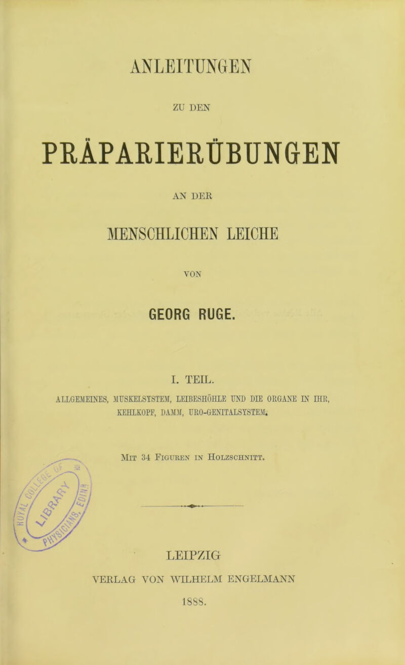 ANLEITUNGEN ZU DEN PRÄPARIERÜBUNGEN AN DER MENSCHLICHEN LEICHE VON GEORG RÜGE. I. TEIL. ALLGEMEINES, MUSKELSYSTEM, LEIBESHÖHLE UND DIE ORGANE LN IHR, KEHLKOPF, DAMM, URO-GENITALSYSTEM. VERLAG VON WILHELM ENGELMANN 1888.
