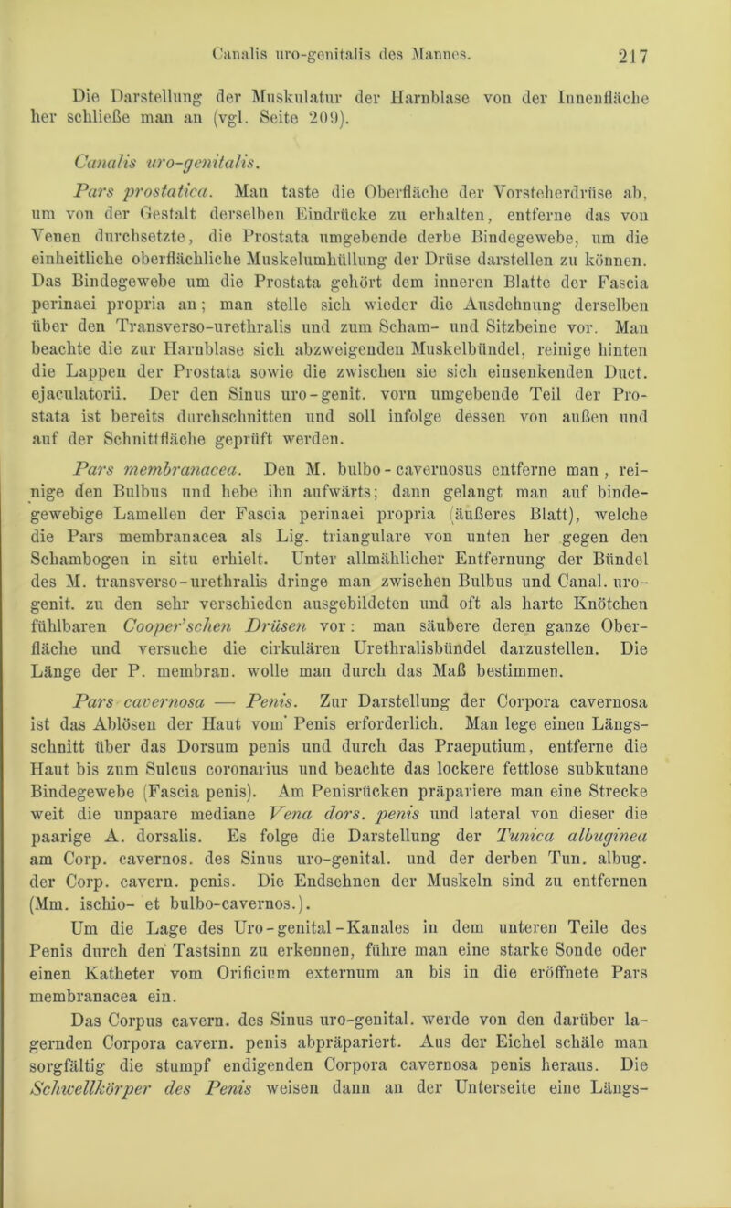 Canalis uro-genitalis des Mannes. 2J7 Die Darstellung der Muskulatur der Harnblase von der Innenfläche her schließe mau an (vgl. Seite 209). Canalis uro-genitalis. Pars prostatica. Man taste die Oberfläche der Vorsteherdrüse ab, um von der Gestalt derselben Eindrücke zu erhalten, entferne das von Venen durchsetzte, die Prostata umgebende derbe Bindegewebe, um die einheitliche oberflächliche Muskelumhüllung der Drüse darstellen zu können. Das Bindegewebe um die Prostata gehört dem inneren Blatte der Fascia perinaei propria an; man stelle sich wieder die Ausdehnung derselben über den Transverso-urethralis und zum Scham- und Sitzbeine vor. Man beachte die zur Harnblase sich abzweigenden Muskelbündel, reinige hinten die Lappen der Prostata sowie die zwischen sie sich einsenkenden Duct. ejaculatorii. Der den Sinus uro-genit. vorn umgebende Teil der Pro- stata ist bereits durchschnitten und soll infolge dessen von außen und auf der Schnittfläche geprüft werden. Pars membra7iacea. Den M. bulbo - cavernosus entferne man, rei- nige den Bulbus und hebe ihn aufwärts; dann gelangt man auf binde- gewebige Lamellen der Fascia perinaei propria (äußeres Blatt), welche die Pars membranacea als Lig. trianguläre von unten her gegen den Schambogen in situ erhielt. Unter allmählicher Entfernung der Bündel des M. transverso-urethralis dringe man zwischen Bulbus und Canal, uro- genit. zu den sehr verschieden ausgebildeten und oft als harte Knötchen fühlbaren Cooper’sehen Drüsen vor: man säubere deren ganze Ober- fläche und versuche die cirkulären Urethralisbiindel darzustellen. Die Länge der P. membran. wolle man durch das Maß bestimmen. Pars cavernosa — Penis. Zur Darstellung der Corpora cavernosa ist das Ablösen der Haut vom' Penis erforderlich. Man lege einen Längs- schnitt über das Dorsum penis und durch das Praeputium, entferne die Haut bis zum Sulcus coronarius und beachte das lockere fettlose subkutane Bindegewebe (Fascia penis). Am Penisrücken präpariere man eine Strecke weit die unpaare mediane Vena dors. penis und lateral von dieser die paarige A. dorsalis. Es folge die Darstellung der Tunica albugineu am Corp. cavernos. des Sinus uro-genital. und der derben Tun. albug. der Corp. cavern. penis. Die Endsehnen der Muskeln sind zu entfernen (Mm. ischio- et bulbo-cavernos.). Um die Lage des Uro-genital-Kanales in dem unteren Teile des Penis durch den Tastsinn zu erkennen, führe man eine starke Sonde oder einen Katheter vom Orificium externum an bis in die eröffnete Pars membranacea ein. Das Corpus cavern. des Sinus uro-genital. werde von den darüber la- gernden Corpora cavern. penis abpräpariert. Aus der Eichel schäle man sorgfältig die stumpf endigenden Corpora cavernosa penis heraus. Die Schicellkörper des Penis weisen dann an der Unterseite eine Längs-