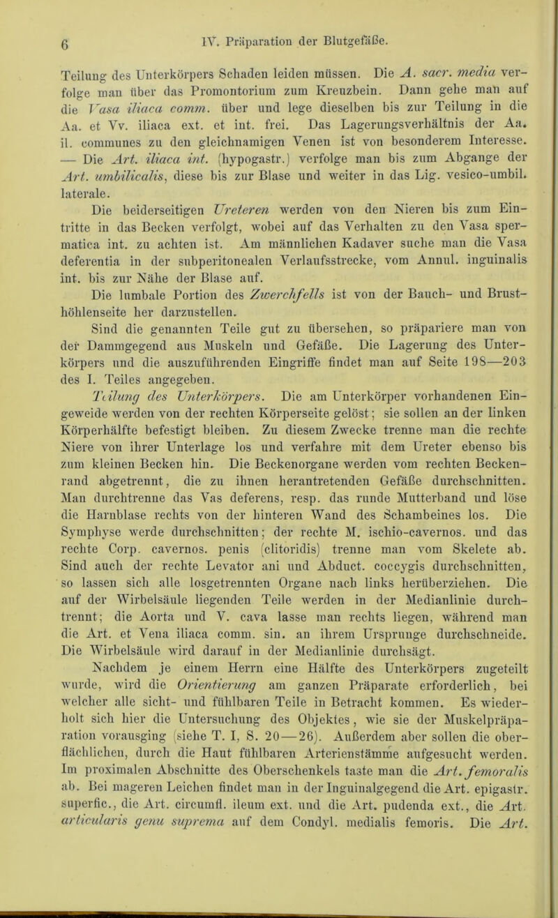 Teilung des Unterkörpers Schaden leiden müssen. Die A. sacr. media ver- folge man über das Promontorium zum Kreuzbein. Dann gehe man auf die Vasa iliaca comm. über und lege dieselben bis zur Teilung in die Aa. et Vv. iliaca ext. et int. frei. Das Lagerungsverhältnis der Aa. il. eommunes zu den gleichnamigen Venen ist von besonderem Interesse. — Die Art. iliaca int. (hypogastr.) verfolge man bis zum Abgänge der Art. umbilicalis, diese bis zur Blase und weiter in das Lig. vesico-umbil. laterale. Die beiderseitigen Ureteren werden von den Nieren bis zum Ein- tritte in das Becken verfolgt, wobei auf das Verhalten zu den Vasa sper- matica int. zu achten ist. Am männlichen Kadaver suche man die Vasa deferentia in der subperitonealen Verlaufsstrecke, vom Annul. inguinalis int. bis zur Nähe der Blase auf. Die lumbale Portion des Zwerchfells ist von der Bauch- und Brust- höhlenseite her darzustellen. Sind die genannten Teile gut zu übersehen, so präpariere man von der Dammgegend aus Muskeln und Gefäße. Die Lagerung des Unter- körpers und die auszuführenden Eingriffe findet man auf Seite 198—203 des I. Teiles angegeben. Teilung des Unterkörpers. Die am Unterkörper vorhandenen Ein- geweide werden von der rechten Körperseite gelöst; sie sollen an der linken Körperhälfte befestigt bleiben. Zu diesem Zwecke trenne man die rechte Niere von ihrer Unterlage los und verfahre mit dem Ureter ebenso bis zum kleinen Becken hin. Die Beckenorgane werden vom rechten Becken- rand abgetrennt, die zu ihnen herantretenden Gefäße durchschnitten. Man durchtrenne das Vas deferens, resp. das runde Mutterband und löse die Harnblase rechts von der hinteren Wand des Schambeines los. Die Symphyse werde durchschnitten; der rechte M. ischio-cavernos. und das rechte Corp. cavernos. penis (clitoridis) trenne man vom Skelete ab. Sind auch der rechte Levator ani und Abduct. coccygis durchschnitten, so lassen sich alle losgetrennten Organe nach links herüberziehen. Die auf der Wirbelsäule liegenden Teile werden in der Medianlinie durch- trennt; die Aorta und V. cava lasse man rechts liegen, während man die Art. et Vena iliaca comm. sin. an ihrem Ursprünge durchschneide. Die Wirbelsäule wird darauf in der Medianlinie durchsägt. Nachdem je einem Herrn eine Hälfte des Unterkörpers zugeteilt wurde, wird die Orientierung am ganzen Präparate erforderlich, bei welcher alle sicht- und fühlbaren Teile in Betracht kommen. Es wieder- holt sich hier die Untersuchung des Objektes , wie sie der Muskelpräpa- ration vorausging (siehe T. I, S. 20 — 26). Außerdem aber sollen die ober- flächlichen, durch die Haut fühlbaren Arterienstämme aufgesucht werden. Im proximalen Abschnitte des Oberschenkels taste man die Art. femoralis ab. Bei mageren Leichen findet man in der Inguiualgegend die Art. epigastr. superfic., die Art. circumfl. ileum ext. und die Art. pudenda ext., die Art. articulams genu suprema auf dem Condyl. medialis femoris. Die Art.