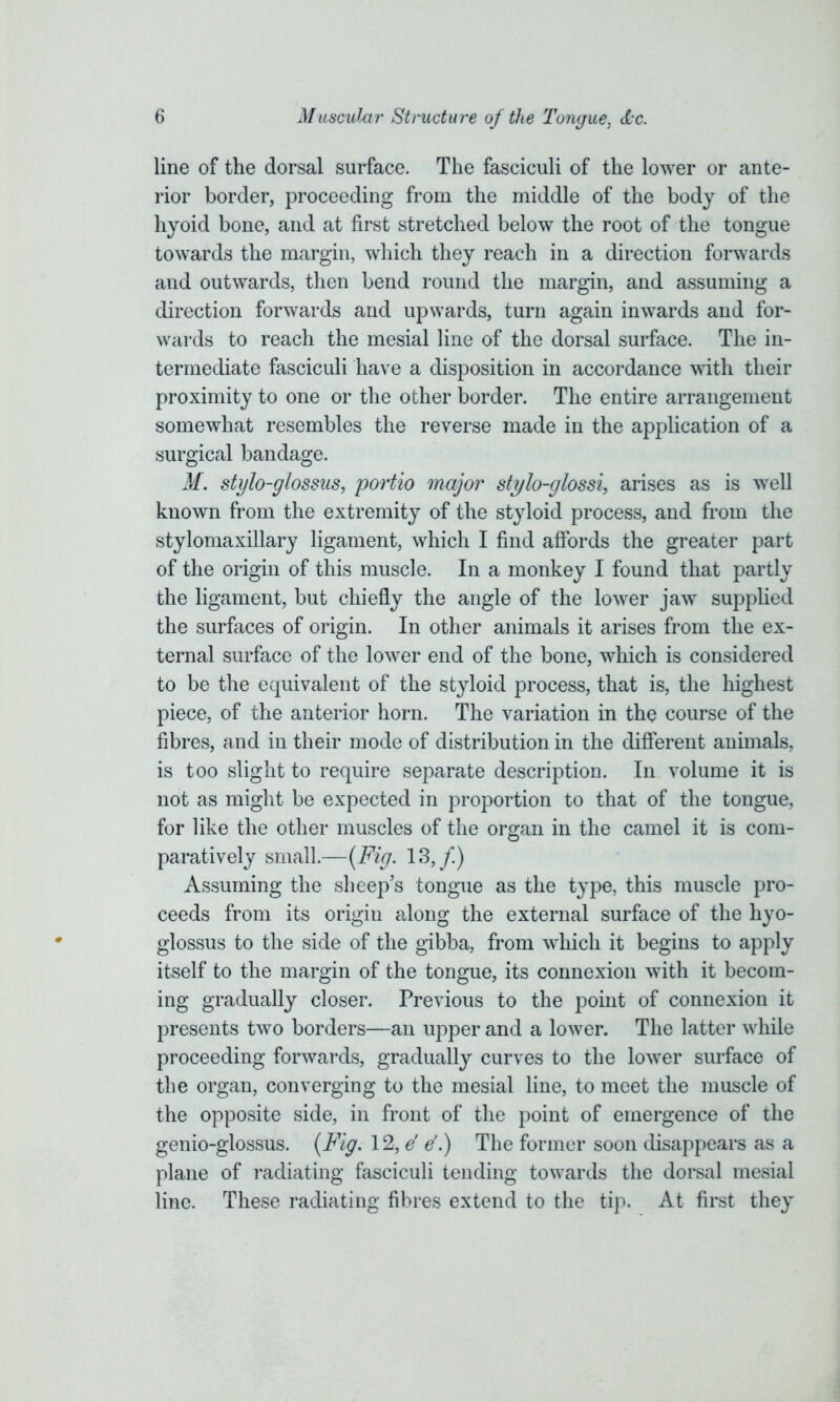 line of the dorsal surface. The fasciculi of the lower or ante- rior border, proceeding from the middle of the body of the hyoid bone, and at first stretched below the root of the tongue towards the margin, which they reach in a direction forwards and outwards, then bend round the margin, and assuming a direction forwards and upwards, turn again inwards and for- wards to reach the mesial line of the dorsal surface. The in- termediate fasciculi have a disposition in accordance with their proximity to one or the other border. The entire arrangement somewhat resembles the reverse made in the application of a surgical bandage. M. stylo-glossus, 'portio major stylo-glossi, arises as is well known from the extremity of the styloid process, and from the stylomaxillary ligament, which I find affords the greater part of the origin of this muscle. In a monkey I found that partly the ligament, but chiefly the angle of the lower jaw supplied the surfaces of origin. In other animals it arises from the ex- ternal surface of the lower end of the bone, which is considered to be the equivalent of the styloid process, that is, the highest piece, of the anterior horn. The variation in the course of the fibres, and in their mode of distribution in the different animals, is too slight to require separate description. In volume it is not as might be expected in proportion to that of the tongue, for like the other muscles of the organ in the camel it is com- paratively small.—{Fig. 13,/.) Assuming the sheep’s tongue as the type, this muscle pro- ceeds from its origin along the external surface of the hyo- glossus to the side of the gibba, from which it begins to apply itself to the margin of the tongue, its connexion with it becom- ing gradually closer. Previous to the point of connexion it presents two borders—an upper and a lower. The latter while proceeding forwards, gradually curves to the lower surface of the organ, converging to the mesial line, to meet the muscle of the opposite side, in front of the point of emergence of the genio-glossus. {Fig. 12, e' e\) The former soon disappears as a plane of radiating fasciculi tending towards the dorsal mesial line. These radiating fibres extend to the tip. At first they