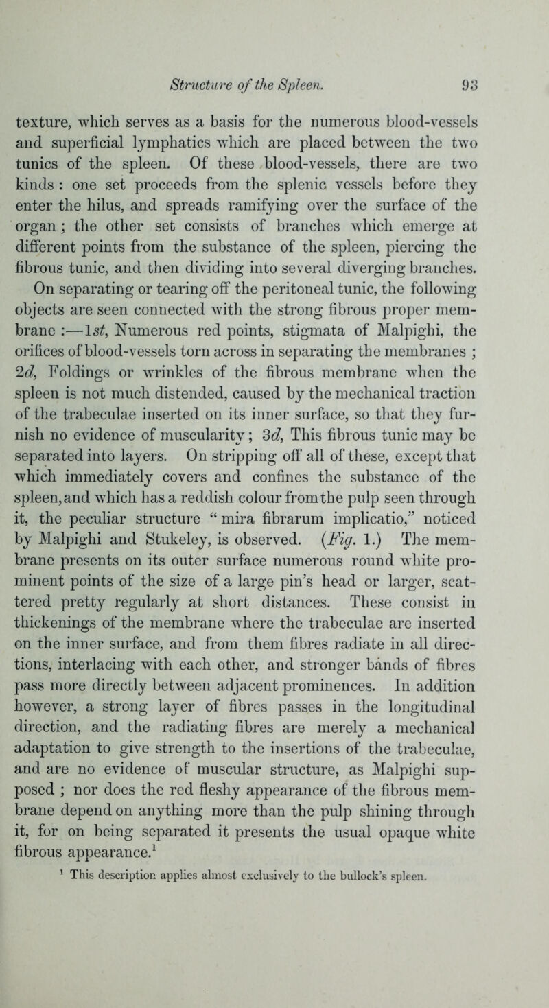 texture, which serves as a basis for the numerous blood-vessels and superficial lymphatics which are placed between the two tunics of the spleen. Of these blood-vessels, there are two kinds : one set proceeds from the splenic vessels before they enter the hilus, and spreads ramifying over the surface of the organ; the other set consists of branches which emerge at different points from the substance of the spleen, piercing the fibrous tunic, and then dividing into several diverging branches. On separating or tearing off the peritoneal tunic, the following objects are seen connected with the strong fibrous proper mem- brane :—ls£, Numerous red points, stigmata of Malpighi, the orifices of blood-vessels torn across in separating the membranes ; 2d, Foldings or wrinkles of the fibrous membrane when the spleen is not much distended, caused by the mechanical traction of the trabeculae inserted on its inner surface, so that they fur- nish no evidence of muscularity; 3d, This fibrous tunic may be separated into layers. On stripping off all of these, except that which immediately covers and confines the substance of the spleen, and which has a reddish colour from the pulp seen through it, the peculiar structure “ mira fibrarum implicatio,” noticed by Malpighi and Stukeley, is observed. (Fig. 1.) The mem- brane presents on its outer surface numerous round white pro- minent points of the size of a large pin’s head or larger, scat- tered pretty regularly at short distances. These consist in thickenings of the membrane where the trabeculae are inserted on the inner surface, and from them fibres radiate in all direc- tions, interlacing with each other, and stronger bands of fibres pass more directly between adjacent prominences. In addition however, a strong layer of fibres passes in the longitudinal direction, and the radiating fibres are merely a mechanical adaptation to give strength to the insertions of the trabeculae, and are no evidence of muscular structure, as Malpighi sup- posed ; nor does the red fleshy appearance of the fibrous mem- brane depend on anything more than the pulp shining through it, for on being separated it presents the usual opaque white fibrous appearance.1 1 This description applies almost exclusively to the bullock’s spleen.