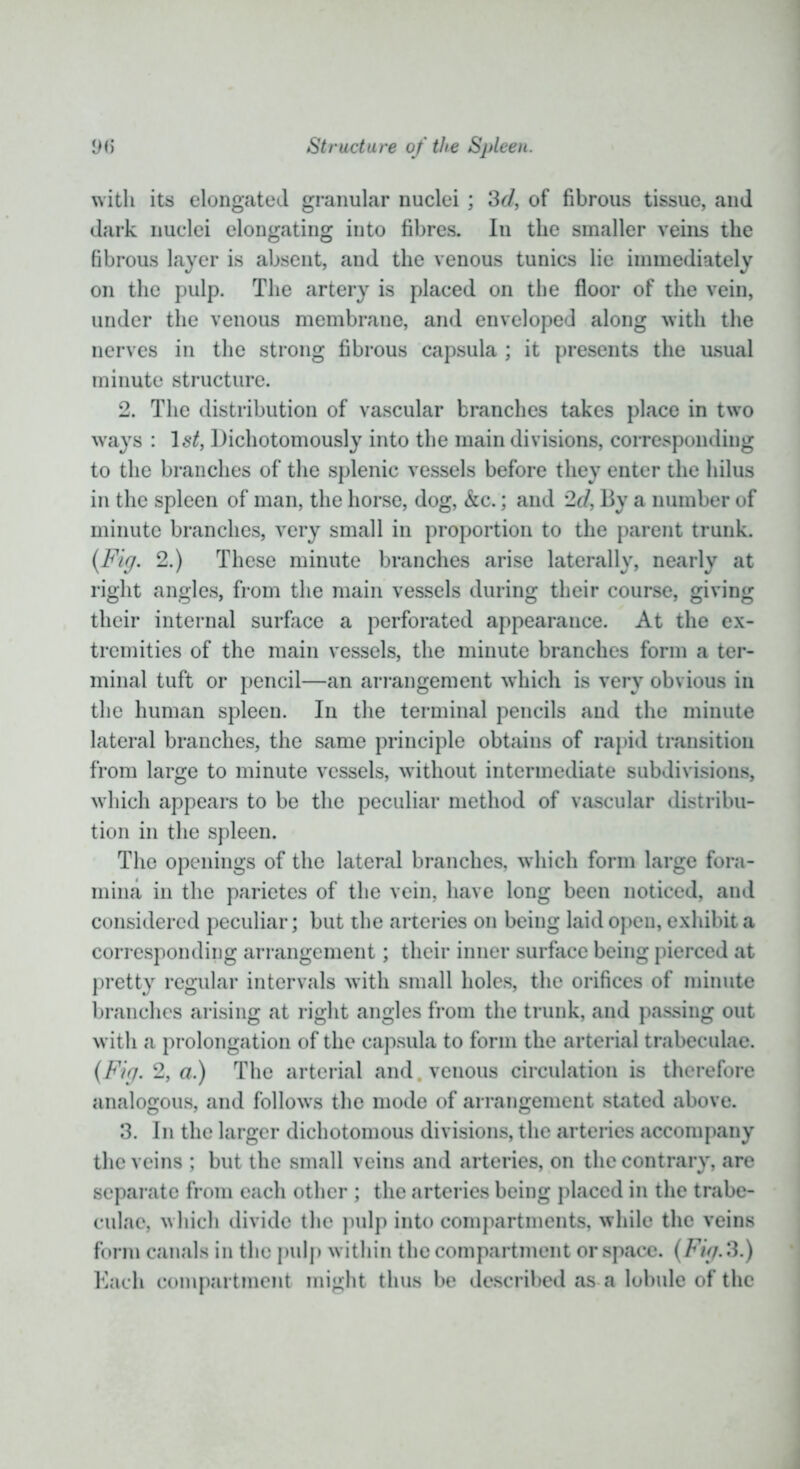 with its elongated granular nuclei ; 3d, of fibrous tissue, and dark nuclei elongating into fibres. In the smaller veins the fibrous layer is absent, and the venous tunics lie immediately on the pulp. The artery is placed on the floor of the vein, under the venous membrane, and enveloped along with the nerves in the strong fibrous capsula ; it presents the usual minute structure. 2. The distribution of vascular branches takes place in twro ways : 1st, Dichotomously into the main divisions, corresponding to the branches of the splenic vessels before they enter the hilus in the spleen of man, the horse, dog, &c.; and 2d, By a number of minute branches, very small in proportion to the parent trunk. {Fig. 2.) These minute branches arise laterally, nearly at right angles, from the main vessels during their course, giving their internal surface a perforated appearance. At the ex- tremities of the main vessels, the minute branches form a ter- minal tuft or pencil—an arrangement which is very obvious in the human spleen. In the terminal pencils and the minute lateral branches, the same principle obtains of rapid transition from large to minute vessels, without intermediate subdivisions, which appears to be the peculiar method of vascular distribu- tion in the spleen. The openings of the lateral branches, which form large fora- mina in the parietes of the vein, have long been noticed, and considered peculiar; but the arteries on being laid open, exhibit a corresponding arrangement; their inner surface being pierced at pretty regular intervals with small holes, the orifices of minute branches arising at right angles from the trunk, and passing out with a prolongation of the capsula to form the arterial trabeculae. {Fig. 2, a.) The arterial and. venous circulation is therefore analogous, and follows the mode of arrangement stated above. 3. In the larger dichotomous divisions, the arteries accompany the veins ; but the small veins and arteries, on the contrary, are separate from each other ; the arteries being placed in the trabe- culae, which divide the pulp into compartments, while the veins form canals in the pulp within the compartment or space. {Fig. 3.) Each compartment might thus be described as a lobule of the