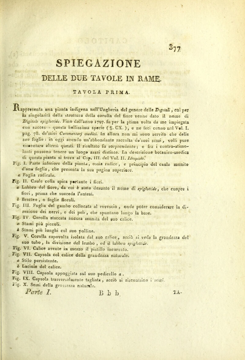 > SPIEGAZIONE DELLE DDE TAVOLE IN RAME. TAVOLA PRIMA. ì\apprcsenia nna piatila indìgena neirUnglierìa del genere delle , cnì per la singolarità della struttura della corolla del fiore venne dato il nome di Digitale epiglottide. Fino dall’anno 1797. fu per la pHma volta da me impiegata con successo questa bellissima specie (§. CX. ), e ne feci cenno nel Vel. I. pag. 78. de’miei Commentarj medici. In allora non mi sono servito che delle sue foglie : in oggi avendo un’abbondante raccolta de’suoi semi , volli pure cimentare altresi questi. Il risultato fu sorprendente; e fra i contro-stimo- lanti possono tenere un luogo assai distinto. La descrizione botanico-medica di questa pianta si trova al Gap. Ili, del Voi. II, Idropisia’. Flg. I. Parte inferiore della pianta, ossia radice, e principio del caule munito d una foglia, cbe presenta la sua pagina superiore. a Foglia radicale. rig. II. Caule colla spica portante i fiori. a Labbro del fiore, da cui è stato desunto il nome di epiglottide^ che cuopre i fiori, prima che succeda l’anlesi. h Brade e , o foglie florali. Fig. Ili, Foglia del gambo collocata al rovescio , onde poter considerare la di- rezione dei nervi, e dei peli, cbe spuntano lungo la base. Fig. IV. Corolla staccata ancora munita del suo calice. a Stami più piccoli. h Stami più lunghi col suo polline. Corolla capovolta isolata dal suo calice , acciò si veda la grandezza del suo tubo , la divisione del lembo , ed il labbro epiglottide. Fig. VI. Calice avente in mezzo il pistillo incurvato. Fig. VII. Capsola col calice della grandezza naturale. a Stilo persistente. h Lacinie del calice. Fig. Vili. Capsola appoggiata sul suo pedicello a . Fig, IX. Capsola trasversalmente tagliata , acciò si riscoutiino i semi. iig. X. Semi della grossezza naturale. J?arte I. B b h