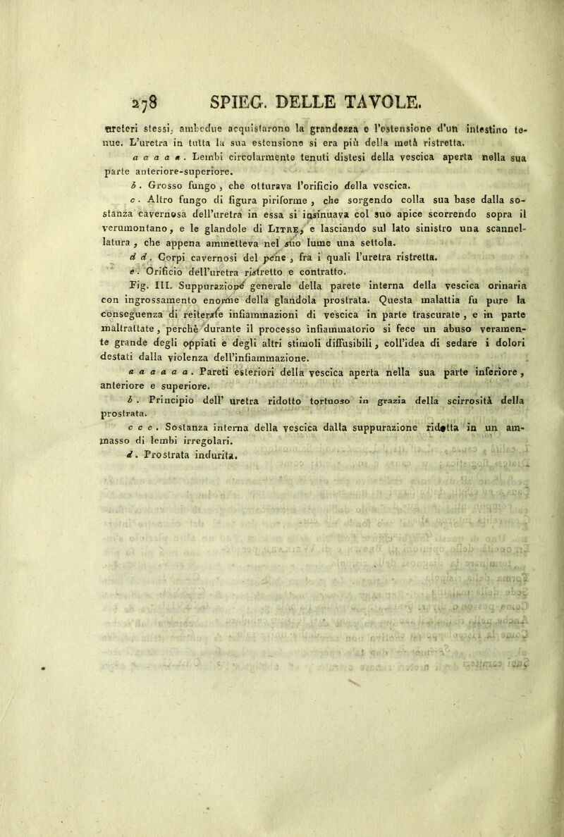 fireleri stessi; ambedue acquislarono la grandezza © restension© d’un intestino te- nue. L’uretra in tutta la sua estensione si era più della metà ristretta. a a a a » . Lembi circolarmente tenuti distesi della vescica aperta nella sua parte anteriore-superiore. b . Grosso fungo , che otturava l’orificio della vescica. c . Altro fungo di figura piriforme , che sorgendo colla sua base dalla so- stanza cavernosa deU’uretra in essa si insinuava col suo apice scorrendo sopra il verumontano, e le glandolo di Litre, e lasciando sul lato sinistro una scannel- latura , che appena ammetteva nel alio lume una settola. d d. Corpi cavernosi del pene , fra i quali l’uretra ristretta. «^ Orificio dell’uretra neretto e contratto. Fig. III. Suppuraziopd^ generale della parete interna della vescica orinaria con ingrossamento enorme della glandola prostrata. Questa malattia fu pure la conseguenza di reiterale infiammazioni di vescica in parte trascurate , e in parte maltrattate, perchè durante il processo infiammatorio si fece un abuso veramen- te grande degli oppiati e degli altri stimoli diffusibili, coll’idea di sedare i dolori destati dalla violenza dell’infiammazione. a a a a a a . Pareti esteriori della vescica aperta nella sua parte inferiore , anteriore e superiore. b . Principio dell’ uretra ridotto tortuoso In grazia della scirrosità della prostrata. c c c . Sostanza intenia della vescica dalla suppurazione rld#tta in un am- masso di lembi irregolari. ' d. Prostrata indurita.