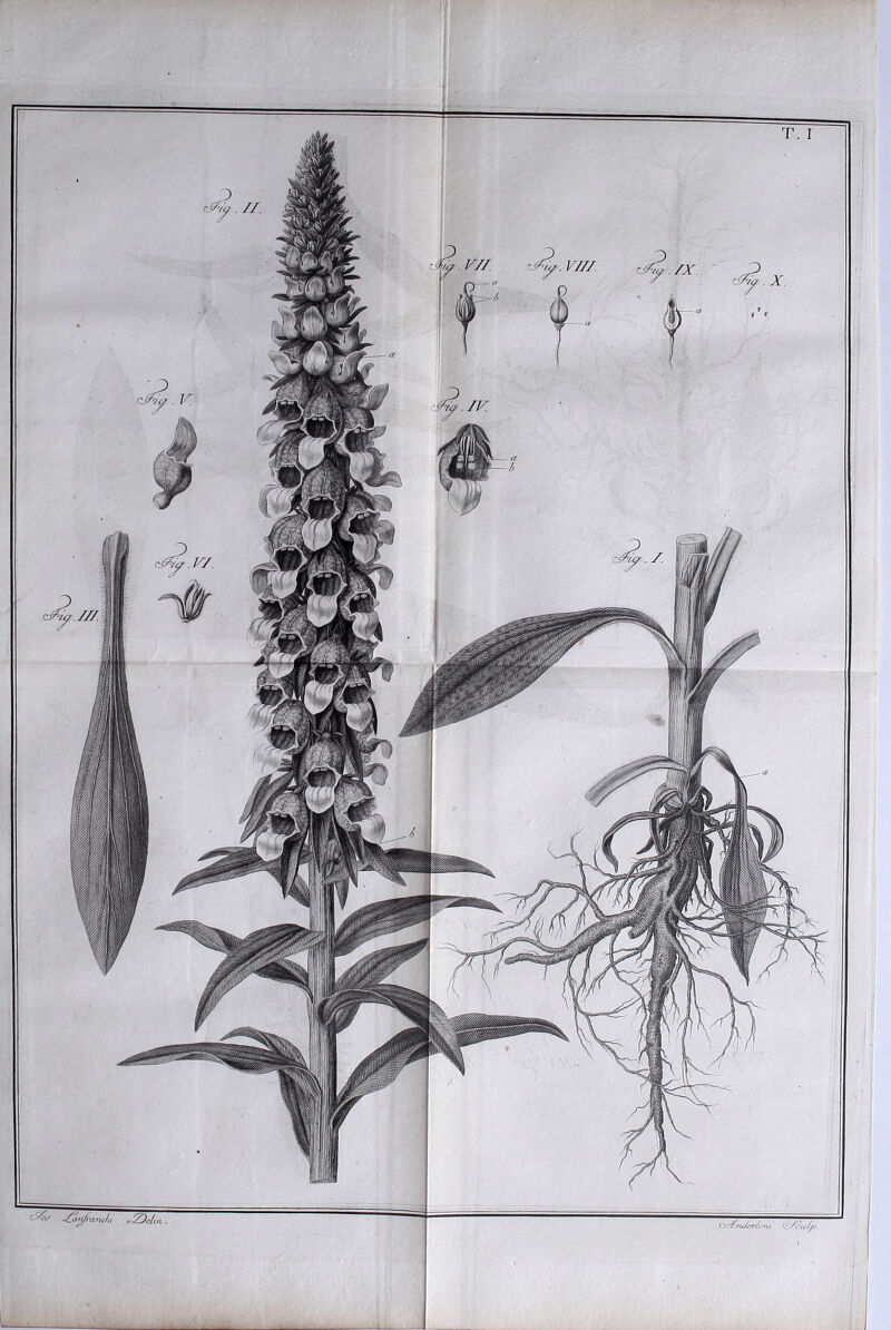 'y- V//. V///. '■4''^ .2 ./l^.