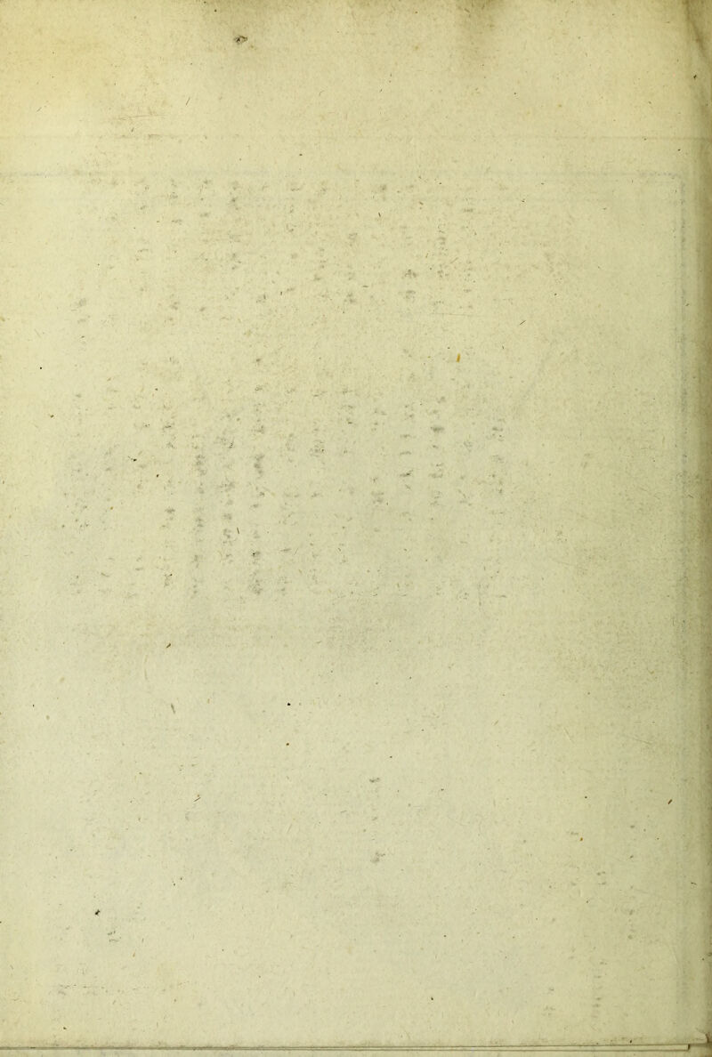 / \ • ! rlM - - ^ é-: