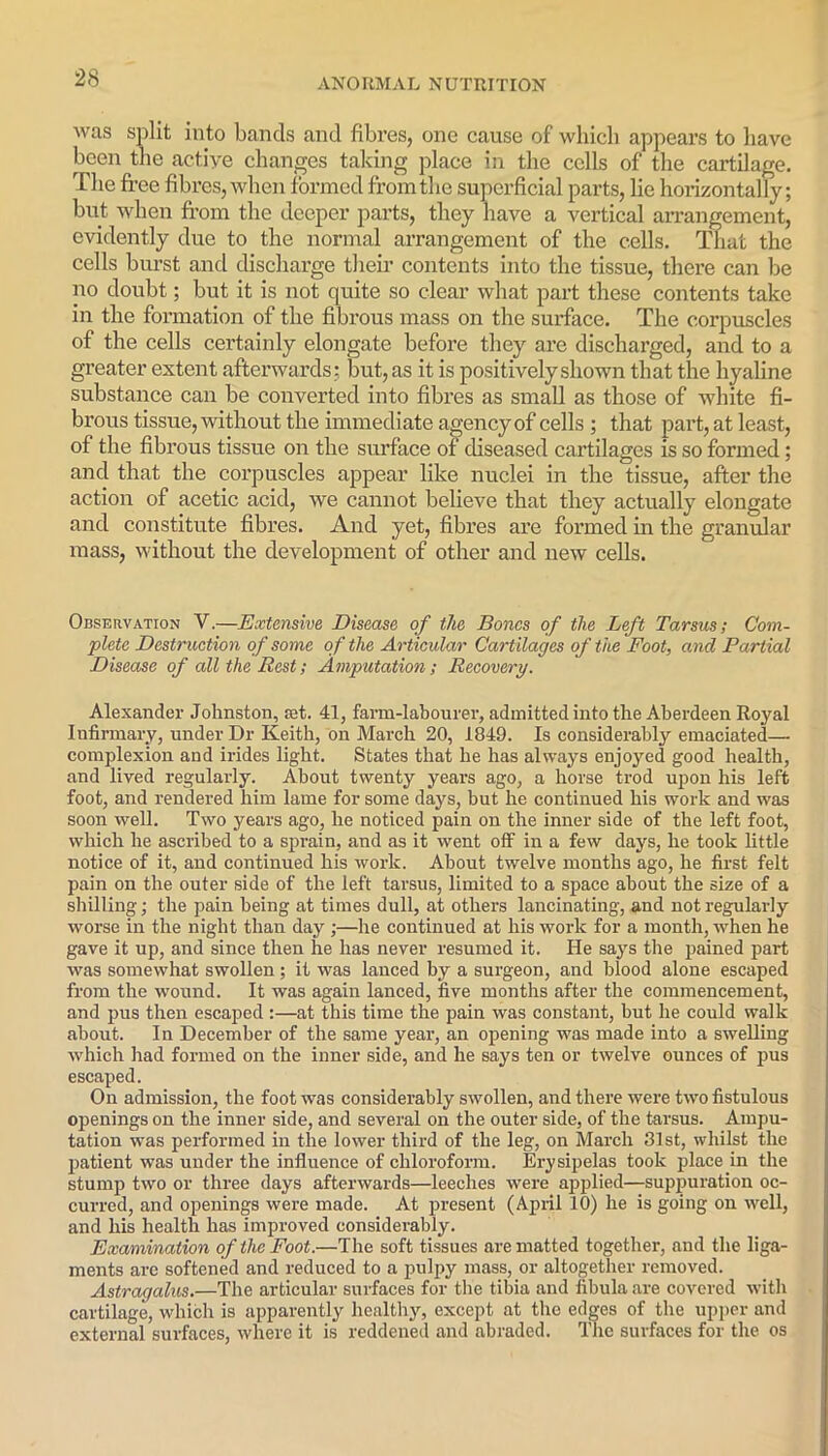 was split into bands and fibres, one cause of which appears to have been the active changes taking place in the cells of the cartilage. The free fibres, when formed from the superficial parts, lie horizontally; but when from the deeper parts, they have a vertical arrangement, evidently due to the normal arrangement of the cells. That the cells burst and discharge their contents into the tissue, there can be no doubt; but it is not quite so clear what part these contents take in the formation of the fibrous mass on the surface. The corpuscles of the cells certainly elongate before they are discharged, and to a greater extent afterwards: but, as it is positively shown that the hyaline substance can be converted into fibres as small as those of white fi- brous tissue, without the immediate agency of cells ; that part, at least, of the fibrous tissue on the surface of diseased cartilages is so formed; and that the corpuscles appear like nuclei in the tissue, after the action of acetic acid, we cannot believe that they actually elongate and constitute fibres. And yet, fibres are formed in the granular mass, without the development of other and new cells. Observation V.—Extensive Disease of the Bones of the Left Tarsus; Com- plete Destruction of some of the Articular Cartilages of the Foot, and Partial Disease of all the Rest; Amputation; Recovery. Alexander Johnston, set. 41, farm-labourer, admitted into the Aberdeen Royal Infirmary, under Dr Keith, on March 20, 1849. Is considerably emaciated— complexion and irides light. States that he has always enjoyed good health, and lived regularly. About twenty years ago, a horse trod upon his left foot, and rendered him lame for some days, but he continued his work and was soon well. Two years ago, he noticed pain on the inner side of the left foot, which he ascribed to a sprain, and as it went off in a few days, he took little notice of it, and continued his work. About twelve months ago, he first felt pain on the outer side of the left tarsus, limited to a space about the size of a shilling; the pain being at times dull, at others lancinating, and not regularly worse in the night than day ;—he continued at his work for a month, when he gave it up, and since then he has never resumed it. He says the pained part was somewhat swollen ; it was lanced by a surgeon, and blood alone escaped from the wound. It was again lanced, five months after the commencement, and pus then escaped :—at this time the pain was constant, but he could walk about. In December of the same year, an opening was made into a swelling which had formed on the inner side, and he says ten or twelve ounces of pus escaped. On admission, the foot was considerably swollen, and there were two fistulous openings on the inner side, and several on the outer side, of the tarsus. Ampu- tation was performed in the lower third of the leg, on March 81st, whilst the patient was under the influence of chloroform. Erysipelas took place in the stump two or three days afterwards—leeches were applied—suppuration oc- curred, and openings were made. At present (April 10) he is going on well, and his health has improved considerably. Examination of the Foot.—The soft tissues are matted together, and the liga- ments arc softened and reduced to a pulpy mass, or altogether removed. Astragalus.—The articular surfaces for the tibia and fibula are covered with cartilage, which is apparently healthy, except at the edges of the upper and external surfaces, where it is reddened and abraded. The surfaces for the os