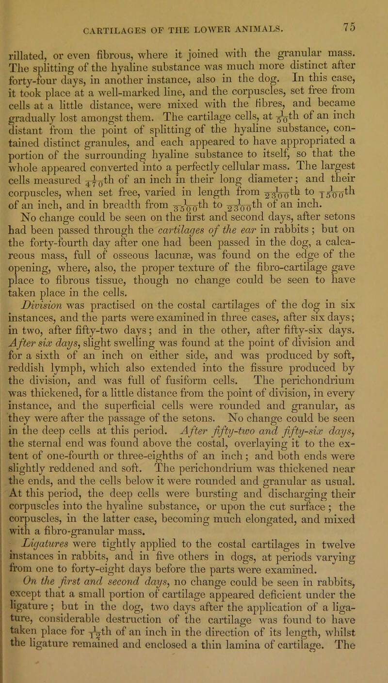 rillated, or even fibrous, where it joined with the granular mass. The splitting of the hyaline substance was much more distinct after forty-four days, in another instance, also in the dog. In this case, it took place at a well-marked line, and the corpuscles, set free from cells at a little distance, were mixed with the fibres, and became gradually lost amongst them. The cartilage cells, at T^th of an inch distant from the point of splitting of the hyaline substance, con- tained distinct granules, and each appeared to have appropriated a portion of the surrounding hyaline substance to itself, so that the whole appeared converted into a perfectly cellular mass. The largest cells measured ^jytli of an inch in their long diameter; and their corpuscles, when set free, varied in length from 2'gVo^ Ts'oo^1 of an inch, and in breadth from ^-5Voth to ^ooth °* an No change could be seen on the first and second days, after setons had been passed through the cartilages of the ear in rabbits; but on the forty-fourth day after one had been passed in the dog, a calca- reous mass, full of osseous lacunae, was found on the edge of the opening, where, also, the proper texture of the fibro-cartilage gave place to fibrous tissue, though no change could be seen to have taken place in the cells. Division was practised on the costal cartilages of the dog in six instances, and the parts were examined in three cases, after six days; in two, after fifty-two days; and in the other, after fifty-six days. After six days, slight swelling was found at the point of division and for a sixth of an inch on either side, and was produced by soft, reddish lymph, which also extended into the fissure produced by the division, and was full of fusiform cells. The perichondrhnn was thickened, for a little distance from the point of division, in every instance, and the superficial cells were rounded and granular, as they were after the passage of the setons. No change could be seen in the deep cells at this period. After fifty-tioo and fifty-six days, the sternal end was found above the costal, overlaying it to the ex- tent of one-fourth or three-eighths of an inch; and both ends were slightly reddened and soft. The perichondrium was thickened near the ends, and the cells below it were rounded and granular as usual. At this period, the deep cells were bursting and discharging their corpuscles into the hyaline substance, or upon the cut surface ; the corpuscles, in the latter case, becoming much elongated, and mixed with a fibro-granular mass. Ligatures were tightly applied to the costal cartilages in twelve instances in rabbits, ancl in five others in dogs, at periods varying from one to forty-eight days before the parts were examined. On the first and second days, no change could be seen in rabbits, except that a small portion of cartilage appeared deficient under the ligature; but in the dog, two days after the application of a liga- ture, considerable destruction of the cartilage was found to have taken place for yjth of an inch in the direction of its length, whilst the ligature remained and enclosed a thin lamina of cartilage. The