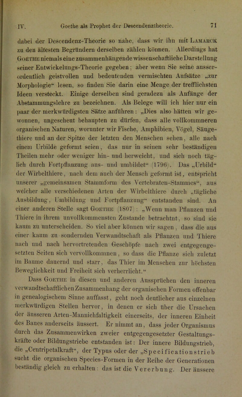 dabei der Descendenz-Theorie so nahe, dass wir ihn mit Lamarck zu den ältesten Begründern derselben zählen können. Allerdings hat Goethe niemals eine zusammenhängende wissenschaftliche Darstellung seiner Entwickelungs-Theorie gegeben; aber wenn Sie seine ausser- ordentlich geistvollen und bedeutenden vermischten Aufsätze „zur Morphologie“ lesen, so finden Sie darin eine Menge der trefflichsten Ideen versteckt. Einige derselben sind geradezu als Anfänge der Abstammungslehre zu bezeichnen. Als Belege will ich hier nur ein paar der merkwürdigsten Sätze anführen : „Dies also hätten wir ge- wonnen, ungescheut behaupten zu dürfen, dass alle vollkommneren organischen Naturen, worunter wir Fische, Amphibien, Vögel, Säuge- thiere und an der Spitze der letzten den Menschen sehen, alle nach einem Urbilde geformt seien, das nur in seinen sehr beständigen Theilen mehr oder weniger hin- und herweicht, und sich noch täg- lich durch Fortpflanzung aus- und umbildet“ (1796). Das „Urbild“ der Wirbelthiere, nach dem auch der Mensch geformt ist, entspricht unserer „gemeinsamen Stammform des Vertebraten-Stammes“, aus welcher alle verschiedenen Arten der Wirbelthiere durch „tägliche Ausbildung, Umbildung und Fortpflanzung“ entstanden sind. An einer anderen Stelle sagt Goethe (1807): „Wenn man Pflanzen und Tliiere in ihrem unvollkommensten Zustande betrachtet, so sind sie kaum zu unterscheiden. So viel aber können wir sagen, dass die aus einer kaum zu sondernden Verwandtschaft als Pflanzen und Thiere nach und nach hervortretenden Geschöpfe nach zwei entgegenge- setzten Seiten sich vervollkommnen, so dass die Pflanze sich zuletzt im Baume dauernd und starr, das Thier im Menschen zur höchsten Beweglichkeit und Freiheit sich verherrlicht.“ Dass Goethe in diesen und anderen Aussprüchen den inneren verwandtschaftlichen Zusammenhang der organischen Formen offenbar in genealogischem Sinne auffasst, geht noch deutlicher aus einzelnen merkwürdigen Stellen hervor, in denen er sich über die Ursachen der äusseren Arten-Mannichfaltigkeit einerseits, der inneren Einheit des Baues anderseits äussert. Er nimmt an, dass jeder Organismus durch das Zusammenwirken zweier entgegengesetzter Gestaltungs- kräfte oder Bildungstriebe entstanden ist: Der innere Bildungstrieb, die „Centripetalkraft“, der Typus oder der „Specificationstrieb sucht die organischen Species-Formen in der Reihe der Generationen beständig gleich zu erhalten: das ist die Vererbung. Der äussere