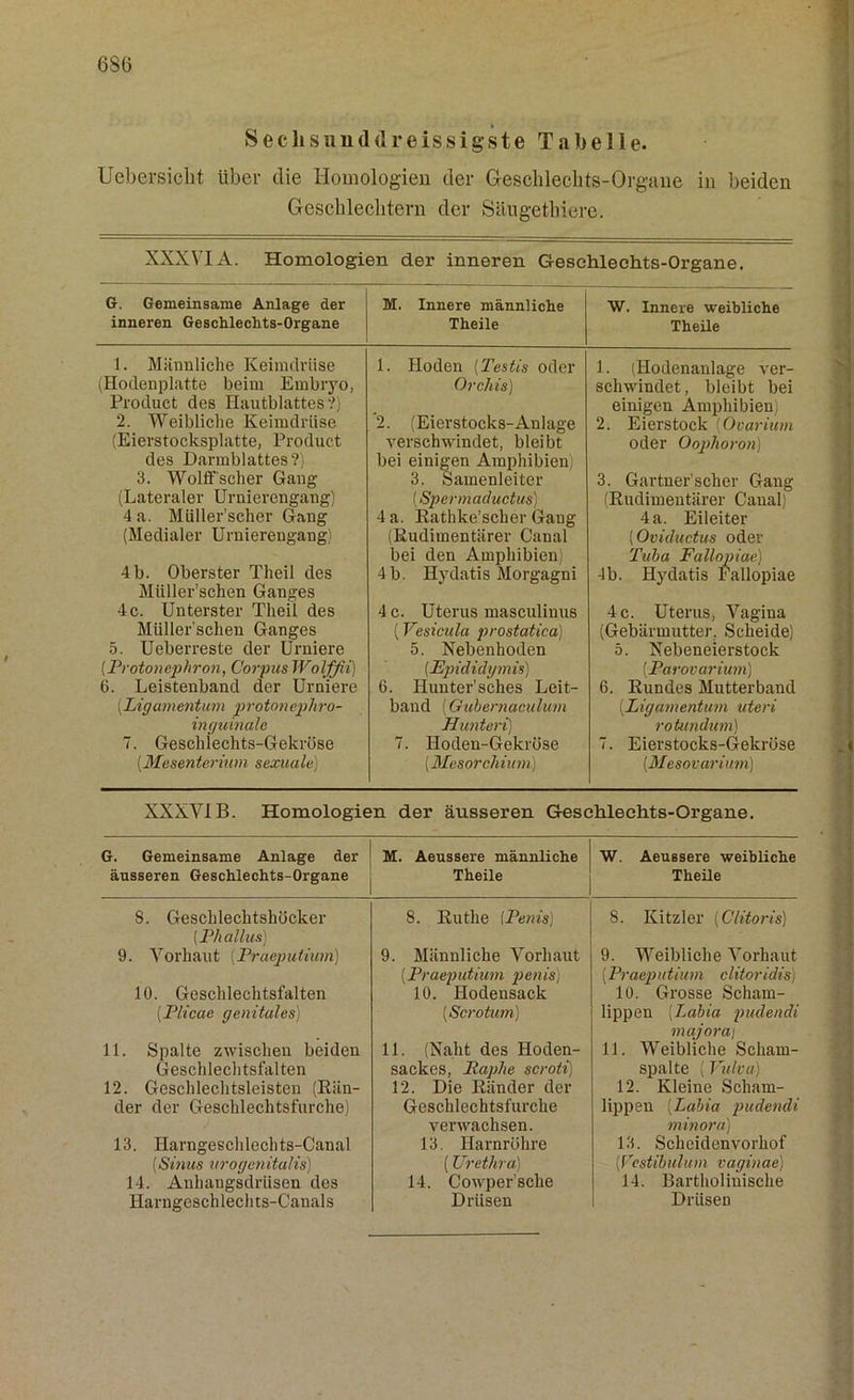 6S6 Sechsunddreissigste Tabelle. Uebersiclit über die Homologien der Geschlechts-Organe in beiden Geschlechtern der Säugethiere. XXXVIA. Homologien der inneren Geschlechts-Organe. G. Gemeinsame Anlage der M. Innere männliche inneren Geschlechts-Organe Theile W. Innere weibliche Theile 1. Männliche Keimdrüse (Hodenplatte beim Embryo, Product des Hautblattes?) 2. Weibliche Keimdrüse (Eierstocksplatte, Product des Darmblattes?) 3. Wolff'scher Gang (Lateraler Urnierengang) 4 a. MUUer’scher Gang (Medialer Urnierengang) 4b. Oberster Theil des Müller’schen Ganges 4 c. Unterster Theil des Müller’schen Ganges 5. Ueberreste der Urniere (Protonephron, Corpus Wolffii) 6. Leistenband der Urniere (.Ligamentum protonephro- inguinalc 7. Geschlechts-Gekröse (.Mesenterium sexuale) 1. Hoden (Testis oder Orchis) 2. (Eierstocks-Anlage verschwindet, bleibt bei einigen Amphibien; 3. Samenleiter (Spermaductus) 4 a. Rathke’scher Gang (Rudimentärer Canal bei den Amphibien) 4b. Hydatis Morgagni 4 c. Uterus masculinus (Vesicula prostatica) 5. Nebenhoden (.Epididymis) 6. Hunter’sches Leit- band (Guhernaculum Hunten) 7. Hoden-Gekröse [Mesorchiian] 1. (Hodenanlage ver- schwindet, bleibt bei einigen Amphibien) 2. Eierstock {Ovarimn oder Oophoron) 3. Gartner’scher Gang (Rudimentärer Canal) 4 a. Eileiter (Oviductus oder Tuba Fallopiae) 4b. Hydatis Fallopiae 4 c. Uterus, Vagina (Gebärmutter. Scheide) 5. Nebeneierstock (.Parovarium) 6. Rundes Mutterband (.Ligamentum uteri rotundum) 7. Eierstocks-Gekröse (.Mesovarium) XXXVIB. Homologien der äusseren Geschlechts-Organe. G. Gemeinsame Anlage der J M. Aeussere männliche W. Aeussere weibliche äusseren Geschlechts-Organe , Theile Theile 8. Geschlechtshöcker (Phallus) 9. Vorhaut (Praepulium) 10. Geschlechtsfalten (.Plicae genitales) 8. Ruthe (Penis) 9. Männliche Vorhaut (.Praeputium penis) 10. Hodensack (Scrotum) 11. Spalte zwischen beiden Geschlechtsfalten 12. Geschlechtsleisten (Rän- der der Geschlechtsfurche) 13. Harngeschlechts-Canal (Sinus urogenitalis) 14. Anhangsdrüsen des Ilarngeschlechts-Canals 11. (Naht des Hoden- sackes, Paphe scroti) 12. Die Ränder der Geschlechtsfurche verwachsen. 13. Harnröhre (Urethra) 14. Cowper’sche Drüsen 8. Kitzler (Clitoris) 9. Weibliche Vorhaut (.Praeputium clitoridis) 10. Grosse Scham- lippen (Labia pudendi majorai 11. Weibliche Scham- spalte (Vulva) 12. Kleine Scham- lippen (Labia pudendi minora) 13. Scheidenvorhof (jVcstibulum vaginae) 14. Bartholinische Drüsen