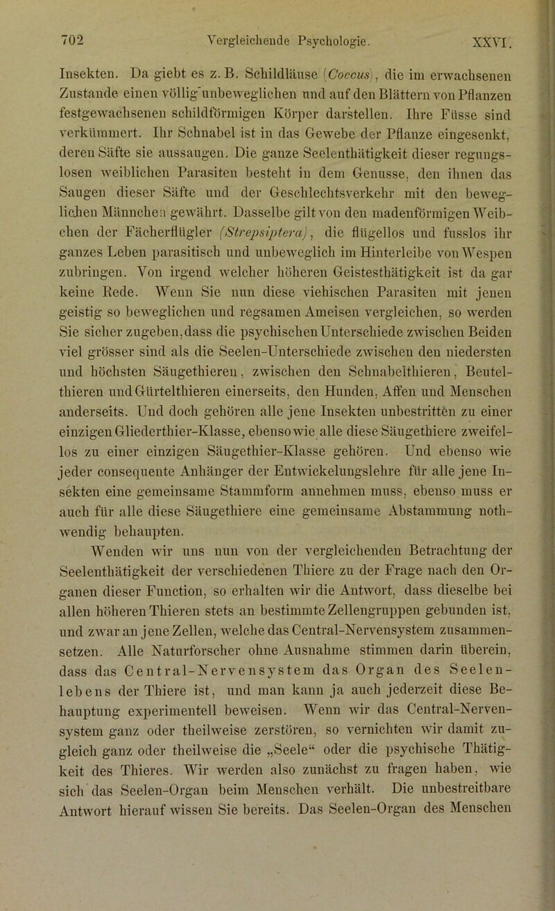 Insekten. Da giebt es z. B. Schildläuse (Coccus , die im erwachsenen Zustande einen völlig-unbeweglichen und auf den Blättern von Pflanzen festgewachsenen schildförmigen Körper darstellen. Ihre Fasse sind verkümmert. Ihr Schnabel ist in das Gewebe der Pflanze eingesenkt, deren Säfte sie aussaugen. Die ganze Seelenthätigkeit dieser regungs- losen weiblichen Parasiten besteht in dem Genüsse, den ihnen das Saugen dieser Säfte und der Geschlechtsverkehr mit den beweg- lichen Männchen gewährt. Dasselbe gilt von den madenförmigen Weib- chen der Fächerflügler (Strepsiptera), die flügellos und fusslos ihr ganzes Leben parasitisch und unbeweglich im Hinterleibe von Wespen zubringen. Von irgend welcher höheren Geistesthätigkeit ist da gar keine Rede. Wenn Sie nun diese viehischen Parasiten mit jenen geistig so beweglichen und regsamen Ameisen vergleichen, so werden Sie sicher zugeben, dass die psychischen Unterschiede zwischen Beiden viel grösser sind als die Seelen-Unterschiede zwischen den niedersten und höchsten Säugethieren, zwischen den Schuabeithieren, Beutel- thieren undGiirtelthieren einerseits, den Hunden. Affen und Menschen anderseits. Und doch gehören alle jene Insekten unbestritten zu einer einzigen Gliederthier-Ivlasse, ebenso wie alle diese Säugethiere zweifel- los zu einer einzigen Säugethier-Klasse gehören. Und ebenso wie jeder consequente Anhänger der Entwickelungslehre für alle jene In- sekten eine gemeinsame Stammform annehmen muss, ebenso muss er auch für alle diese Säugethiere eine gemeinsame Abstammung noth- wendig behaupten. Wenden wir uns nun von der vergleichenden Betrachtung der Seelenthätigkeit der verschiedenen Thiere zu der Frage nach den Or- ganen dieser Function, so erhalten wir die Antwort, dass dieselbe bei allen höheren Thieren stets an bestimmte Zellengruppen gebunden ist, und zwar an jene Zellen, welche das Central-Nervensystem zusammen- setzen. Alle Naturforscher ohne Ausnahme stimmen darin überein, dass das Central-Nervensystem das Organ des Seelen- lebens der Thiere ist, und man kann ja auch jederzeit diese Be- hauptung experimentell beweisen. Wenn wir das Central-Nerven- system ganz oder theilweise zerstören, so vernichten wir damit zu- gleich ganz oder theilweise die „Seele“ oder die psychische Thätig- keit des Thieres. Wir werden also zunächst zu fragen haben, wie sich das Seelen-Organ beim Menschen verhält. Die unbestreitbare Antwort hierauf wissen Sie bereits. Das Seelen-Organ des Menschen
