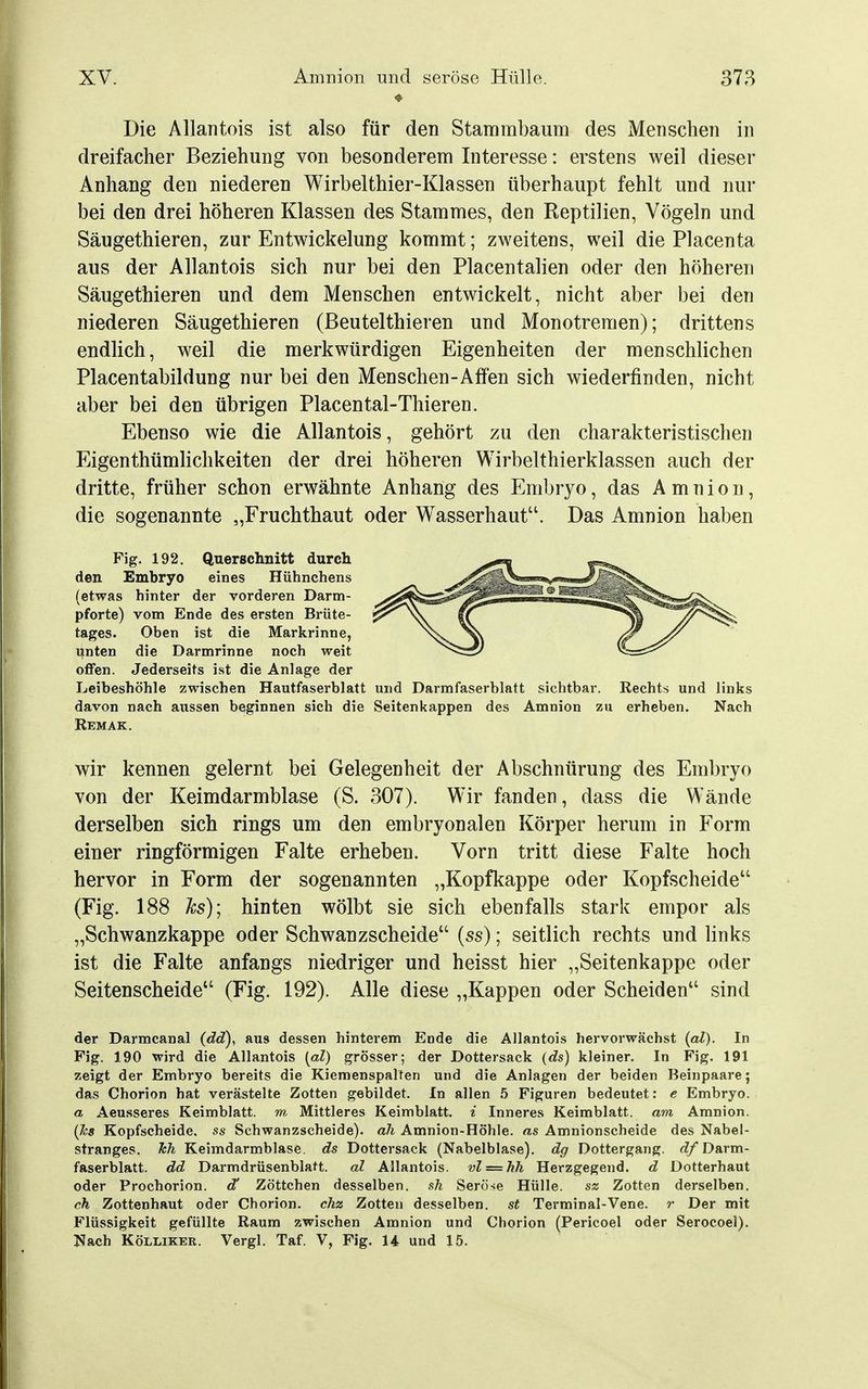 Die Allantois ist also für den Stammbaum des Menschen in dreifacher Beziehung von besonderem Interesse: erstens weil dieser Anhang den niederen Wirbelthier-Klassen überhaupt fehlt und nur bei den drei höheren Klassen des Stammes, den Reptilien, Vögeln und Säugethieren, zur Entwickelung kommt; zweitens, weil die Placenta aus der Allantois sich nur bei den Placentalien oder den höheren Säugethieren und dem Menschen entwickelt, nicht aber bei den niederen Säugethieren (Beutelthieren und Monotreraen); drittens endlich, weil die merkwürdigen Eigenheiten der menschlichen Placentabildung nur bei den Menschen-Affen sich wiederfinden, nicht aber bei den übrigen Placental-Thieren. Ebenso wie die Allantois, gehört zu den charakteristischen Eigenthümlichkeiten der drei höheren Wirbelthierklassen auch der dritte, früher schon erwähnte Anhang des Embryo, das Amnion, die sogenannte „Fruchthaut oder Wasserhaut. Das Amnion haben Fig. 192. Querschnitt durch den Embryo eines Hühnchens (etwas hinter der vorderen Darm- pforte) vom Ende des ersten Brüte- tages. Oben ist die Markrinne, Tanten die Darmrinne noch weit oflFen. Jederseits ist die Anlage der Leibeshöhle zwischen Hautfaserblatt und Darmfaserblatt sichtbar. Rechts und links davon nach aussen beginnen sich die Seitenkappen des Amnion zu erheben. Nach Rem AK. wir kennen gelernt bei Gelegenheit der Abschnürung des Embryo von der Keimdarmblase (S. 307). Wir fanden, dass die Wände derselben sich rings um den embryonalen Körper herum in Form einer ringförmigen Falte erheben. Vorn tritt diese Falte hoch hervor in Form der sogenannten „Kopfkappe oder Kopfscheide (Fig. 188 Ics); hinten wölbt sie sich ebenfalls stark empor als „Schwanzkappe oder Schwanzscheide (ss); seitlich rechts und links ist die Falte anfangs niedriger und heisst hier „Seitenkappe oder Seitenscheide (Fig. 192). Alle diese „Kappen oder Scheiden sind der Darmcanal (dd), aus dessen hinterem Ende die Allantois hervorwächst (al). In Fig. 190 wird die Allantois [al) grösser; der Dottersack (ds) kleiner. In Fig. 191 zeigt der Embryo bereits die KiemenspaUen und die Anlagen der beiden Beinpaare; das Chorion hat verästelte Zotten gebildet. In allen 5 Figuren bedeutet: e Embryo. a Aeusseres Keimblatt, m Mittleres Keimblatt, i Inneres Keimblatt, am Amnion. (Jcs Kopfscheide, ss Schwanzscheide), ah Amnion-Höhle. as Amnionscheide des Nabel- stranges. Jeh Keimdarmblase, ds Dottersack (Nabelblase), dg Dottergang. ^7/Darm- faserblatt, dd DarmdrüsenblaU. al Allantois. vl = hh Herzgegend, d Dotterhaut oder Prochorion. d' Zöttchen desselben, sh Seröse Hülle. sz Zotten derselben. ch Zottenhaut oder Chorion. cJiz Zotten desselben, st Terminal-Vene, r Der mit Flüssigkeit gefüllte Raum zwischen Amnion und Chorion (Pericoel oder Serocoel). Nach KöLLiKER. Vergl. Taf. V, Fig. 14 und 15.