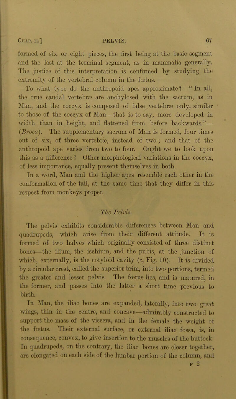 formed of six or eight pieces, the first being at the basic segment and the last at the terminal segment, as in mammalia generally. The justice of this interpretation is confirmed by studying the extremity of the vertebral column in the foetus. To what type do the anthropoid apes approximate 1 “ In all, the true caudal vertebrae are anchylosed with the sacrum, as in Man, and the coccyx is composed of false vertebrae only, similar to those of the coccyx of Man—that is to say, more developed in width than in height, and flattened from before backwards.”— (Broca). The supplementary sacrum of Man is formed, four times out of six, of three vertebrae, instead of two ; and that of the anthropoid ape varies from two to four. Ought we to look upon this as a difference 1 Other morphological variations in the coccyx, of less importance, equally present themselves in both. In a word, Man and the higher apes resemble each other in the conformation of the tail, at the same time that they differ in this respect from monkeys proper. Th e Pelvis. The pelvis exhibits considerable differences between Man and quadrupeds, which arise from their different attitude. It is formed of two halves which originally consisted of three distinct bones—the ilium, the ischium, and the pubis, at the junction of which, externally, is the cotyloid cavity (c, Tig. 10). It is divided by a circular crest, called the superior brim, into two portions, termed the greater and lesser pelvis. The foetus lies, and is matured, in the former, and passes into the latter a short time previous to birth. In Man, the iliac bones are expanded, laterally, into two great wings, thin in the centre, and concave—admirably constructed to support the mass of the viscera, and in the female the weight of the foetus. Their external surface, or external iliac fossa, is, in consequence, convex, to give insertion to the muscles of the buttock In quadrupeds, on the contrary, the iliac bones are closer together, are elongated on each side of the lumbar portion of the column, and f 2