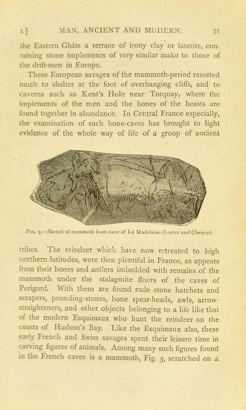 the Eastern Ghdts a terrace of irony clay or laterite, con- taining stone implements of very similar make to those of the drift-men in Europe. These European savages of the mammoth-period resorted much to shelter at the foot of overhanging cliffs, and to caverns such as Kent’s Hole near Torquay, where the implements of the men and the bones of the beasts are found together in abundance. In Central France especially, the examination of such bone-caves has brought to light evidence of the whole way of life of a group of ancient Fig. 3.—Sketch of mammoth t orn cave of La Madeleine (Lartet and Christy). tribes. The reindeer which have now retreated to high northern latitudes, were then plentiful in France, as appears from their bones and antlers imbedded with remains of the mammoth under the stalagmite floors of the caves of Perigord. With them are found rude stone hatchets and scrapers, pounding-stones, bone spear-heads, awls, arrow- straighteners, and other objects belonging to a life like that of the modern Esquimaux who hunt the reindeer on the coasts of Hudson s Bay. Like the Esquimaux also, these early T rench and Swiss savages spent their leisure time in carving figures of animals. Among many such figures found in the French caves is a mammoth, Fig. 3, scratched on a