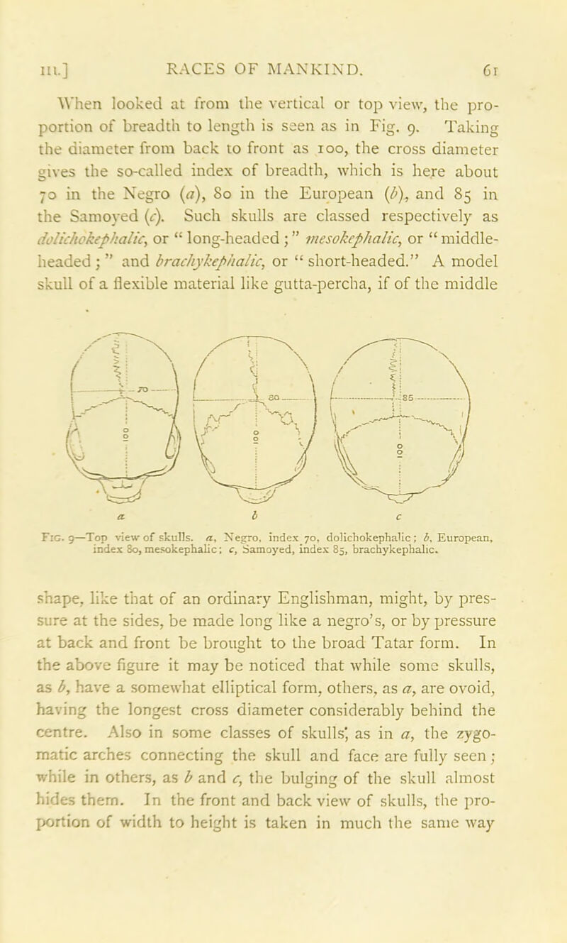 When looked at from the vertical or top view, the pro- portion of breadth to length is seen as in Fig. 9. Taking the diameter from back to front as 100, the cross diameter gives the so-called index of breadth, which is here about 70 in the Negro (a), 80 in the European (b), and 85 in the Samoyed (c). Such skulls are classed respectively as doUchokephalic, or “ long-headed ; ” mesokephalic, or “ middle- headed ; ” and brachykep/ialic, or “ short-headed.” A model skull of a flexible material like gutta-percha, if of the middle a b c Fig. g—Top view of skulls, a, Negro, index 70, dolichokephalic; b, European, index 80, mesokephalic; c, Samoyed, index 85, brachykephalic. shape, like that of an ordinary Englishman, might, by pres- sure at the sides, be made long like a negro’s, or by pressure at back and front be brought to the broad Tatar form. In the above figure it may be noticed that while some skulls, as b, have a somewhat elliptical form, others, as a, are ovoid, having the longest cross diameter considerably behind the centre. Also in some classes of skulls', as in a, the zygo- matic arches connecting the skull and face are fully seen ; while in others, as b and c, the bulging of the skull almost hides them. In the front and back view of skulls, the pro- portion of width to height is taken in much the same way