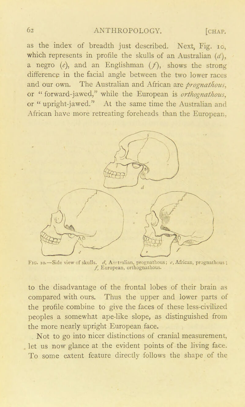 as the index of breadth just described. Next, Fig. io, which represents in profile the skulls of an Australian (</), a negro (e), and an Englishman (/), shows the strong difference in the facial angle between the two lower races and our own. The Australian and African are prognatfious, or “ forward-jawed,” while the European is orthognathous, or “ upright-jawed.” At the same time the Australian and African have more retreating foreheads than the European. Fig. io.—Side view of skulls, d, Australian, prognathous; c, African, prognathous ; f, European, orthognathous. to the disadvantage of the frontal lobes of their brain as compared with ours. Thus the upper and lower parts of the profile combine to give the faces of these less-civilized peoples a somewhat ape-like slope, as distinguished from the more nearly upright European face. Not to go into nicer distinctions of cranial measurement, let us now glance at the evident points of the living face. To some extent feature directly follows the shape of the