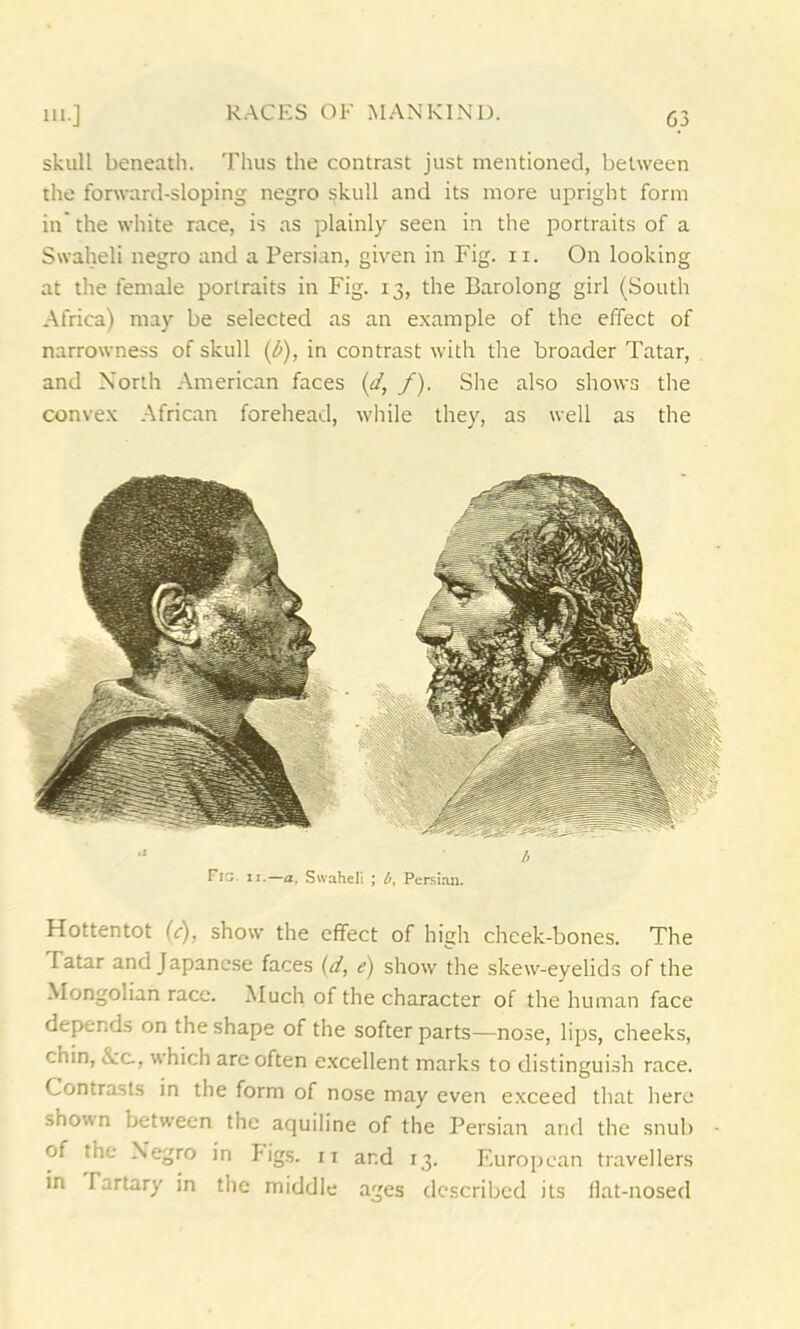 skull beneath. Thus the contrast just mentioned, between the forward-sloping negro skull and its more upright form in the white race, is as plainly seen in the portraits of a Swaheli negro and a Persian, given in Fig. n. On looking at the female portraits in Fig. 13, the Barolong girl (South Africa) may be selected as an example of the effect of narrowness of skull (b), in contrast with the broader Tatar, and North American faces (d,, f). She also shows the convex African forehead, while they, as well as the b Fig. ii.—a, Swaheli ; b, Persian. Hottentot (c), show the effect of high cheek-bones. The Tatar and Japanese faces (d, e) show the skew-eyelids of the Mongolian race. Much of the character of the human face depends on the shape of the softer parts—nose, lips, cheeks, chin, &c., which are often excellent marks to distinguish race. Contrasts in the form of nose may even exceed that here shown between the aquiline of the Persian and the snub of the Negro in Figs. 11 and 13. European travellers in I artary in the middle ages described its flat-nosed