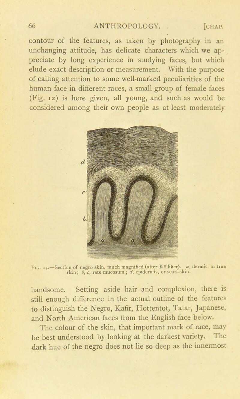 contour of the features, as taken by photography in an unchanging attitude, has delicate characters which we ap- preciate by long experience in studying faces, but which elude exact description or measurement. With the purpose of calling attention to some well-marked peculiarities of the human face in different races, a small group of female faces (Fig. 12) is here given, all young, and such as would be considered among their own people as at least moderately Fig 14.—Section of negro skin, much magnified (after Kolltker). a, dermis, or true slc,n ; b, c, rete mucosum ; d, epidermis, or scarf-skin. handsome. Setting aside hair and complexion, there is still enough difference in the actual outline of the features to distinguish the Negro, Kafir, Hottentot, Tatar, Japanese, and North American faces from the English face below. The colour of the skin, that important mark of race, may be best understood by looking at the darkest variety. The dark hue of the negro does not lie so deep as the innermost