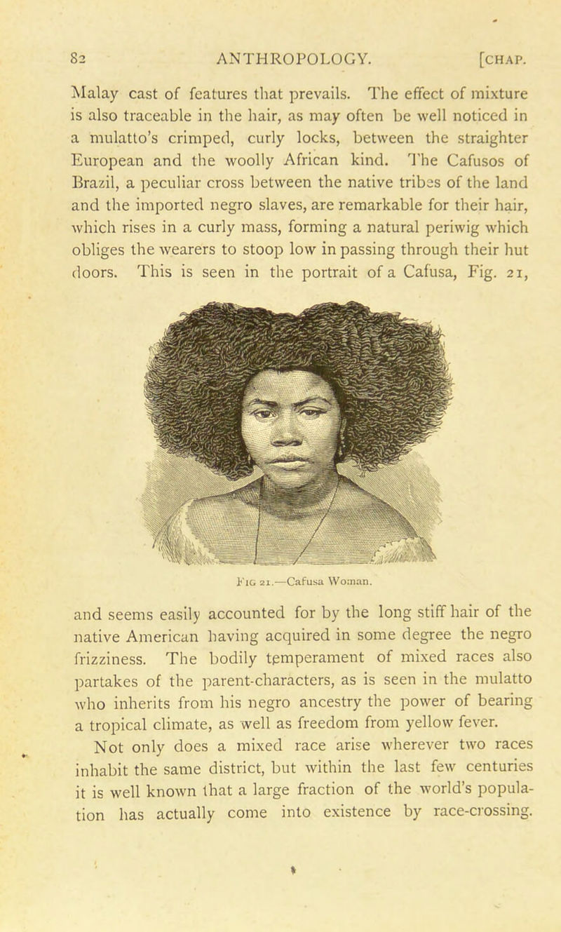 Malay cast of features that prevails. The effect of mixture is also traceable in the hair, as may often be well noticed in a mulatto’s crimped, curly locks, between the straighter European and the woolly African kind. The Cafusos of Brazil, a peculiar cross between the native tribes of the land and the imported negro slaves, are remarkable for their hair, which rises in a curly mass, forming a natural periwig which obliges the wearers to stoop low in passing through their hut doors. This is seen in the portrait of a Cafusa, Fig. 21, Pig 21.—Cafusa Woman. and seems easily accounted for by the long stiff hair of the native American having acquired in some degree the negro frizziness. The bodily temperament of mixed races also partakes of the parent-characters, as is seen in the mulatto who inherits from his negro ancestry the power of bearing a tropical climate, as well as freedom from yellow fever. Not only does a mixed race arise wherever two races inhabit the same district, but within the last few centuries it is well known that a large fraction of the world's popula- tion has actually come into existence by race-crossing.