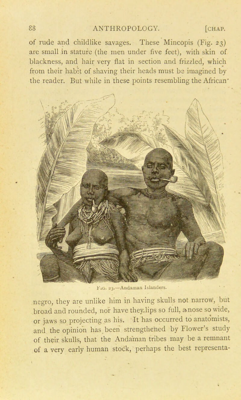 KiG. 23.—Andaman Islanders. negro, they are unlike him in having skulls not narrow, but broad and rounded, nor have they.lips so full, anose so wide, or jaws so projecting as his. It has occurred to anatomists, and the opinion has been strengthened by Flower’s study of their skulls, that the Andaman tribes may be a remnant of a very early human stock, perhaps the best representa- 88 ANTHROPOLOGY. [chap. of rude and childlike savages. These Mincopis (Fig. 23) are small in stature (the men under five feet), with skin of blackness, and hair very flat in section and frizzled, which from their habit of shaving their heads must be imagined by the reader. But while in these points resembling the African'