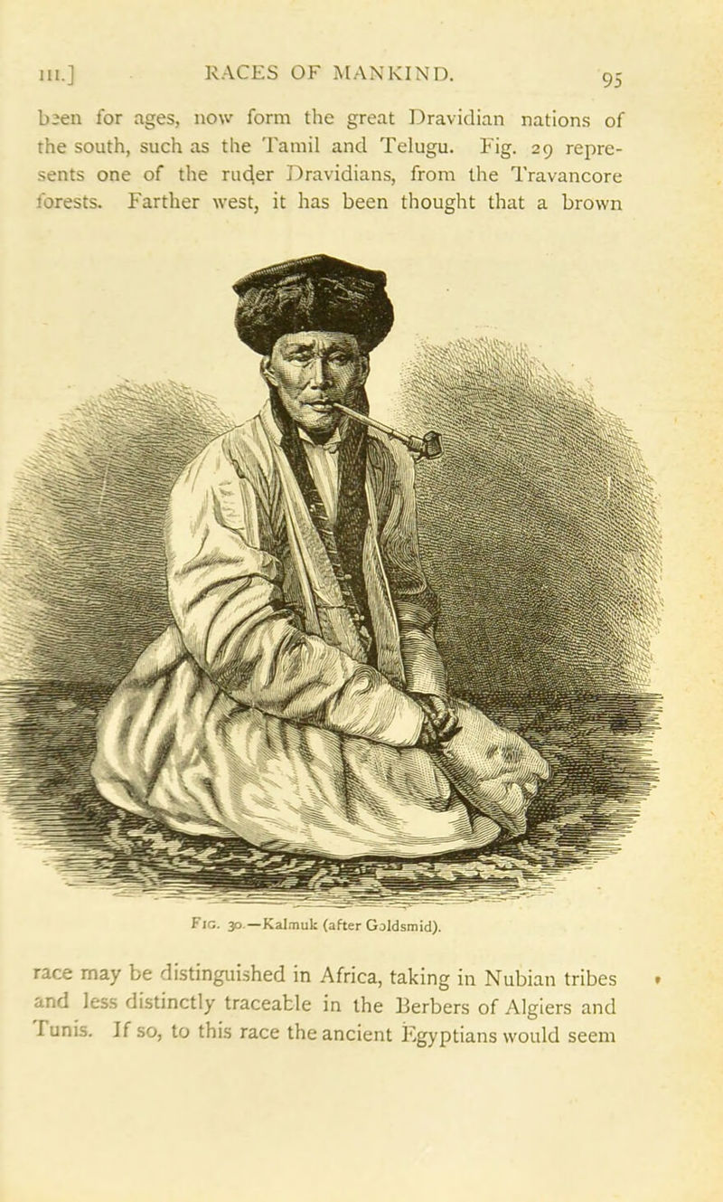 been for ages, now form the great Dravidian nations of the south, such as the Tamil and Telugu. Fig. 29 repre- sents one of the ruder Dravidians, from the Travancore forests. Farther west, it has been thought that a brown Fig. 30 — Kalmuk (after Goldsmid). race may be distinguished in Africa, taking in Nubian tribes and less distinctly traceable in the Berbers of Algiers and funis. If so, to this race the ancient Egyptians would seem