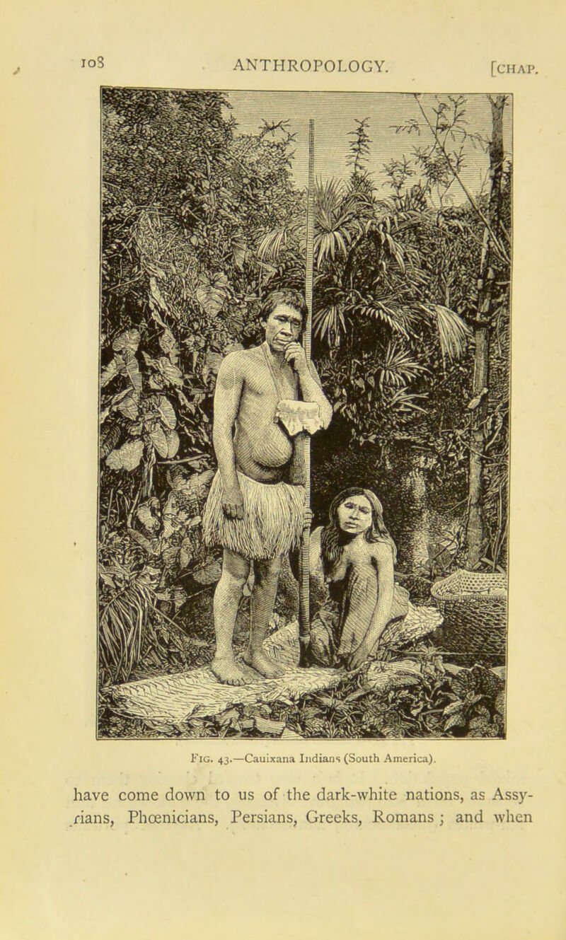 Fig. 43.—Cauixana Indians (South America). have come down to us of the dark-white nations, as Assy- rians, Phoenicians, Persians, Greeks, Romans ; and when