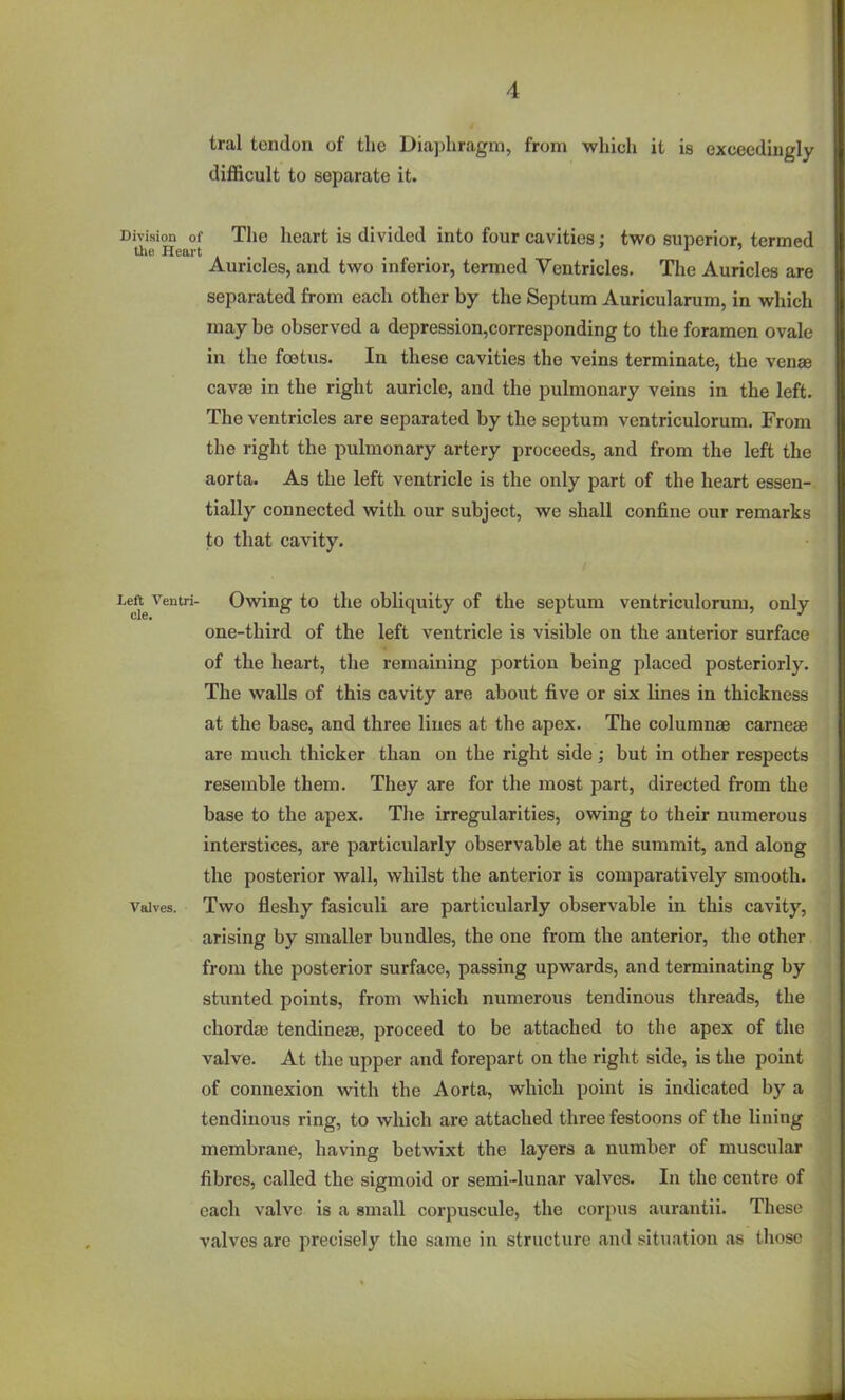 tral tendon of the Diaphragm, from which it is exceedingly difficult to separate it. Division of The heart IS divided into four cavities: two superior, termed tlie Heart . . , . r •> Auricles, and two inferior, termed Ventricles. The Auricles are separated from each other by the Septum Auricularum, in which may be observed a depression,corresponding to the foramen ovale in the foetus. In these cavities the veins terminate, the venae cavaB in the right auricle, and the pulmonary veins in the left. The ventricles are separated by the septum ventriculorum. From the right the pulmonary artery proceeds, and from the left the aorta. As the left ventricle is the only part of the heart essen- tially connected with our subject, we shall confine our remarks to that cavity. Left Ventri- Owiug to the obliquity of the septum ventriculorum, only one-third of the left ventricle is visible on the anterior surface of the heart, the remaining portion being placed posteriorly. The walls of this cavity are about five or six lines in thickness at the base, and three lines at the apex. The columnse carneaB are much thicker than on the right side; but in other respects resemble them. They are for the most part, directed from the base to the apex. The irregularities, owiug to their numerous interstices, are particularly observable at the summit, and along the posterior wall, whilst the anterior is comparatively smooth. Valves. Two fleshy fasiculi are particularly observable in this cavity, arising by smaller bundles, the one from the anterior, the other from the posterior surface, passing upwards, and terminating by stunted points, from which numerous tendinous threads, the chordaa tendineae, proceed to be attached to the apex of the valve. At the upper and forepart on the right side, is the point of connexion with the Aorta, which point is indicated by a tendinous ring, to which are attached three festoons of the lining membrane, having betwixt the layers a number of muscular fibres, called the sigmoid or semi-lunar valves. In the centre of each valve is a small corpuscule, the corpus aurantii. These valves are precisely the same in structure and situation as those