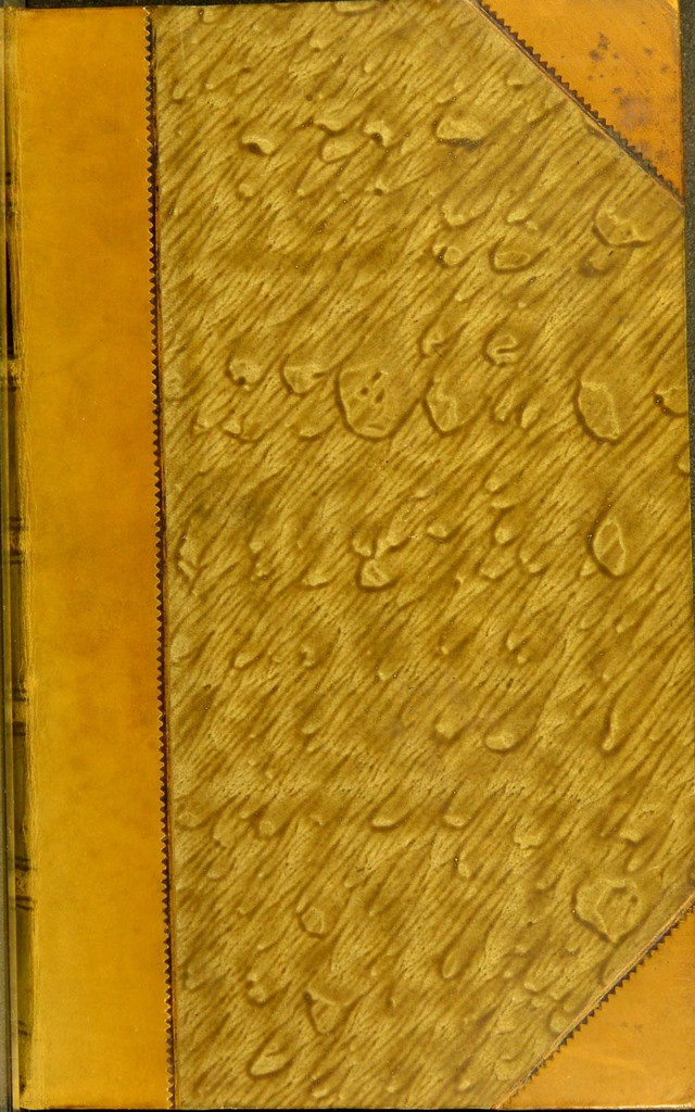 digitised image 1