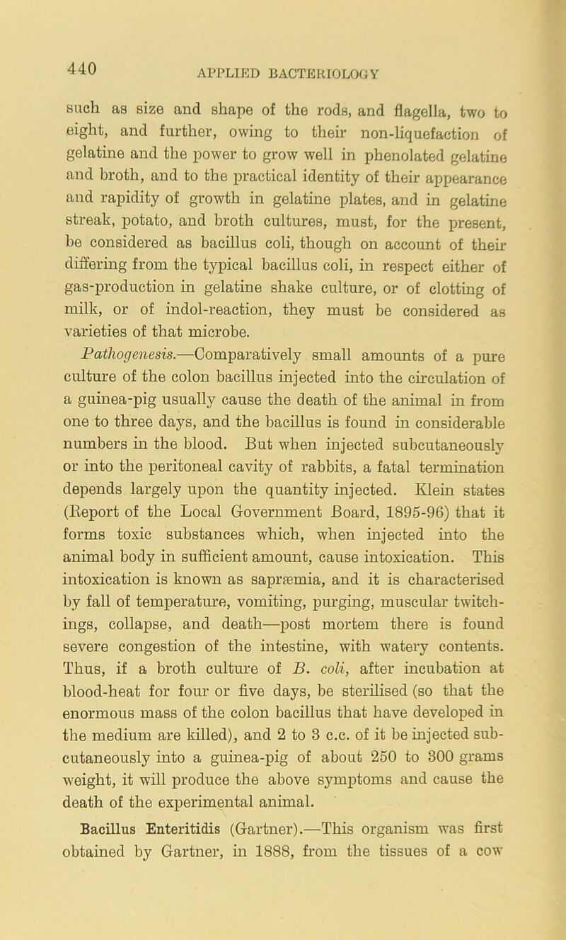 such as size and shape of the rods, and flagella, two to eight, and further, owing to their non-liquefaction of gelatine and the power to grow well in phenolated gelatine and broth, and to the practical identity of their appearance and rapidity of growth in gelatine plates, and in gelatine streak, potato, and broth cultures, must, for the present, be considered as bacillus coli, though on account of their differing from the typical bacillus coli, in respect either of gas-production in gelatine shake culture, or of clotting of milk, or of indol-reaction, they must be considered as varieties of that microbe. Pathogenesis.—Comparatively small amounts of a pure culture of the colon bacillus injected into the circulation of a guinea-pig usually cause the death of the animal in from one to three days, and the bacillus is found in considerable numbers in the blood. But when injected subcutaneously or into the peritoneal cavity of rabbits, a fatal termination depends largely upon the quantity injected. Klein states (Report of the Local Government Board, 1895-96) that it forms toxic substances which, when injected into the animal body in sufficient amount, cause intoxication. This intoxication is known as saprsemia, and it is characterised by fall of temperature, vomiting, purging, muscular twitch- ings, collapse, and death—post mortem there is found severe congestion of the intestine, with watery contents. Thus, if a broth culture of B. coli, after incubation at blood-heat for four or five days, be sterilised (so that the enormous mass of the colon bacillus that have developed in the medium are killed), and 2 to 3 c.c. of it be injected sub- cutaneously into a guinea-pig of about 250 to 300 grams weight, it will produce the above symptoms and cause the death of the experimental animal. Bacnius Enteritidis (Gartner).—This organism was first obtained by Gartner, in 1888, from the tissues of a cow