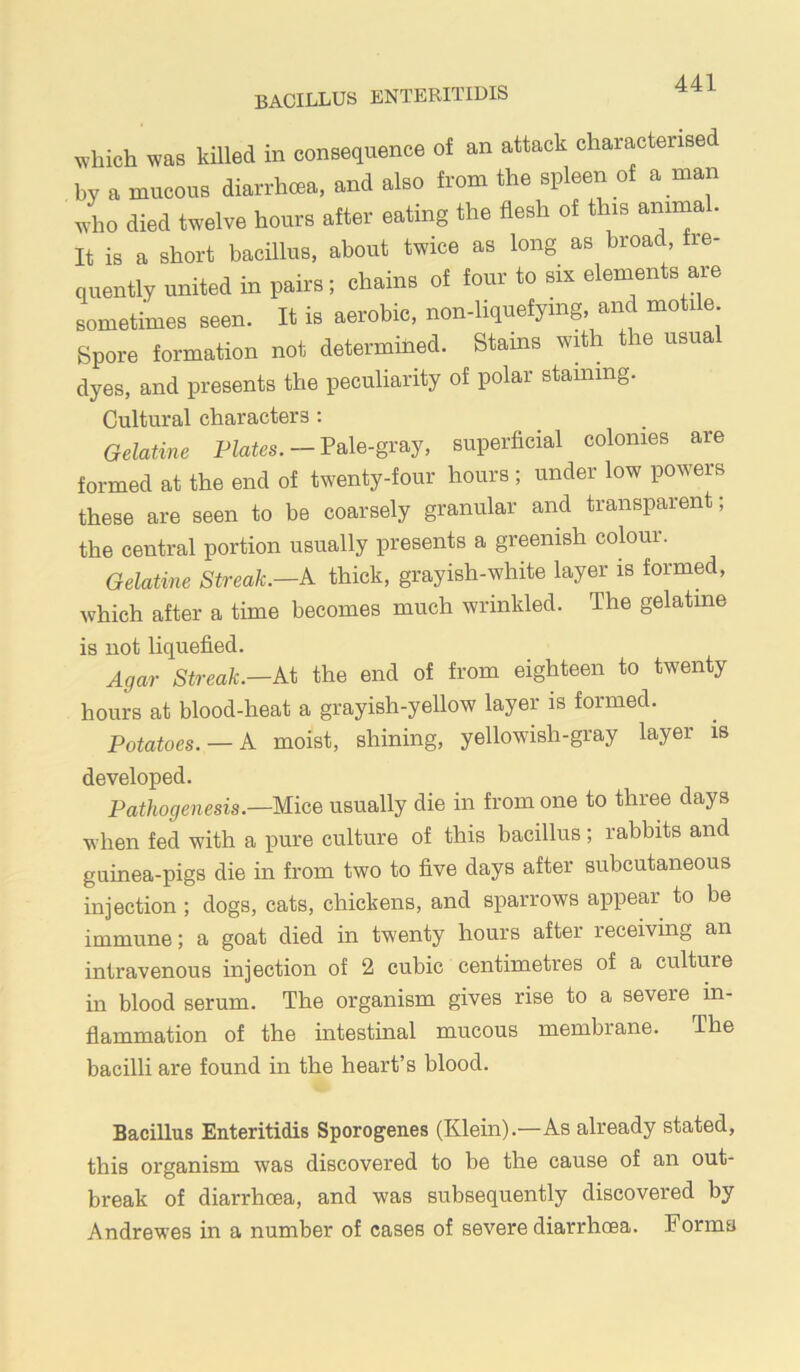 bacillus enteritidis which was killed in consequence of an attack characterised by a mucous diarrhcea. and also from the spleen of a man wdio died twelve hours after eating the flesh of this animal. It is a short bacillus, about twice as long as broad fre- quently united in pairs; chains of four to six elements are sometimes seen. It is aerobic, non-hquefymg, and motile Spore formation not determined. Stains with the usual dyes, and presents the peculiarity of polar staining. Cultural characters ; Gelatine PZates. — Pale-gray, superficial colonies are formed at the end of twenty-four hours ; under low powers these are seen to be coarsely granular and transparent; the central portion usually presents a greenish colour. Gelatine Streak.—k thick, grayish-white layer is formed, which after a time becomes much wrinkled. The gelatine is not liquefied. Agar Streak.—At the end of from eighteen to twenty hours at blood-heat a grayish-yellow layer is formed. Potatoes. — A moist, shining, yellowish-gray layer is developed. Pathogenesis.—usually die in from one to three days when fed with a pure culture of this bacillus; rabbits and guinea-pigs die in from two to five days after subcutaneous injection ; dogs, cats, chickens, and sparrows appear to be immune; a goat died in twenty hours after receiving an intravenous injection of 2 cubic centimetres of a culture in blood serum. The organism gives rise to a severe in- flammation of the intestinal mucous membrane. The bacilli are found in the heart’s blood. Bacillus Enteritidis Sporogenes (Klein).—As already stated, this organism was discovered to be the cause of an out- break of diarrhoea, and was subsequently discovered by Andrew’es in a number of cases of severe diarrhoea. Forma