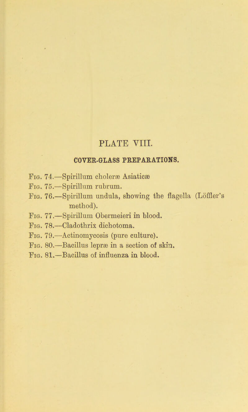 PLATE VIII. COVER-GLASS PREPARATIONS. Fig. 74.—Spirillum eholerse Asiatic8B Fig. 75.—Spirillum rubrum. Fig. 76.—Spirillum undula, showing the flagella (Loffler’ method). Fig. 77.—Spirillum Obermeieri in blood. Fig. 78.—Cladothrix dichotoma. Fig. 79.—Actinomycosis (pure culture). Fig. 80.—Bacillus leprae in a section of skin. Fig. 81.—Bacillus of influenza in blood.