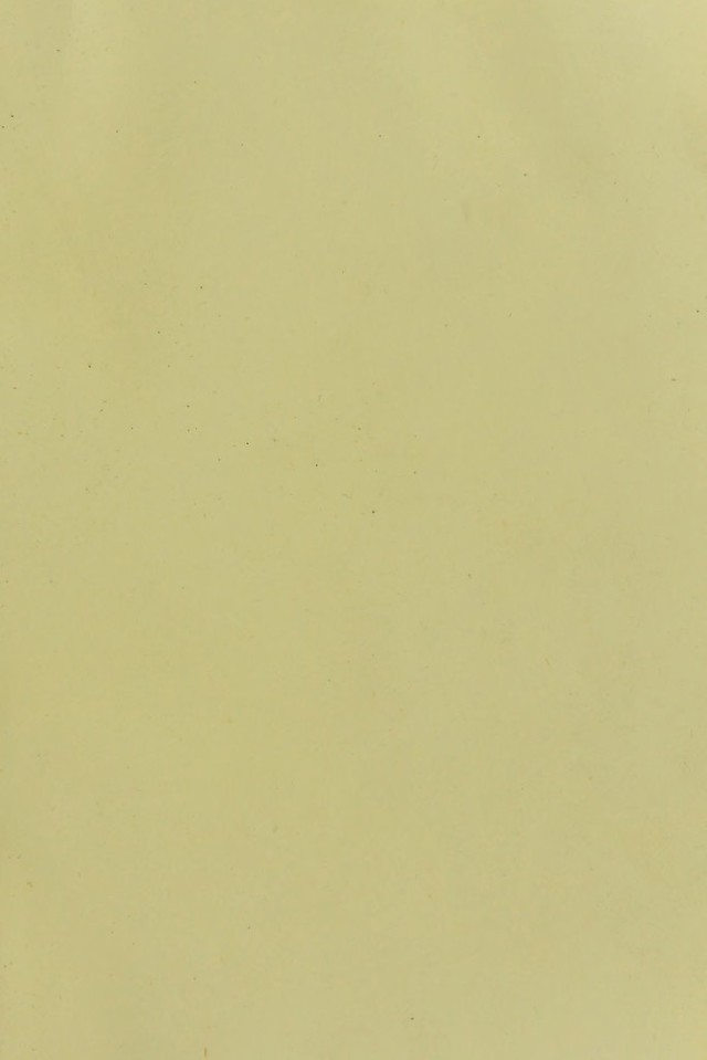 digitised image 3